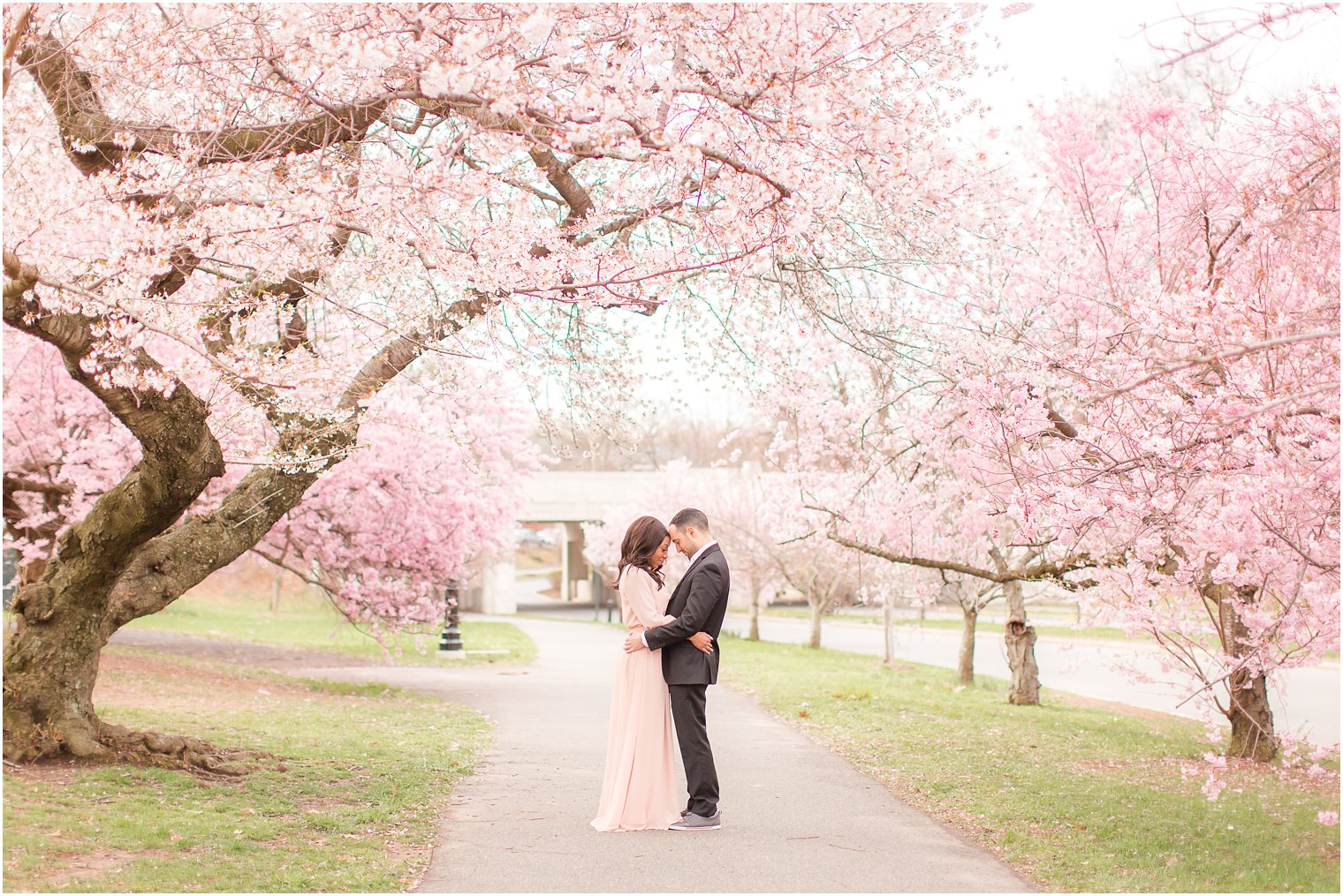 romantic engagement photos with cherry blossoms