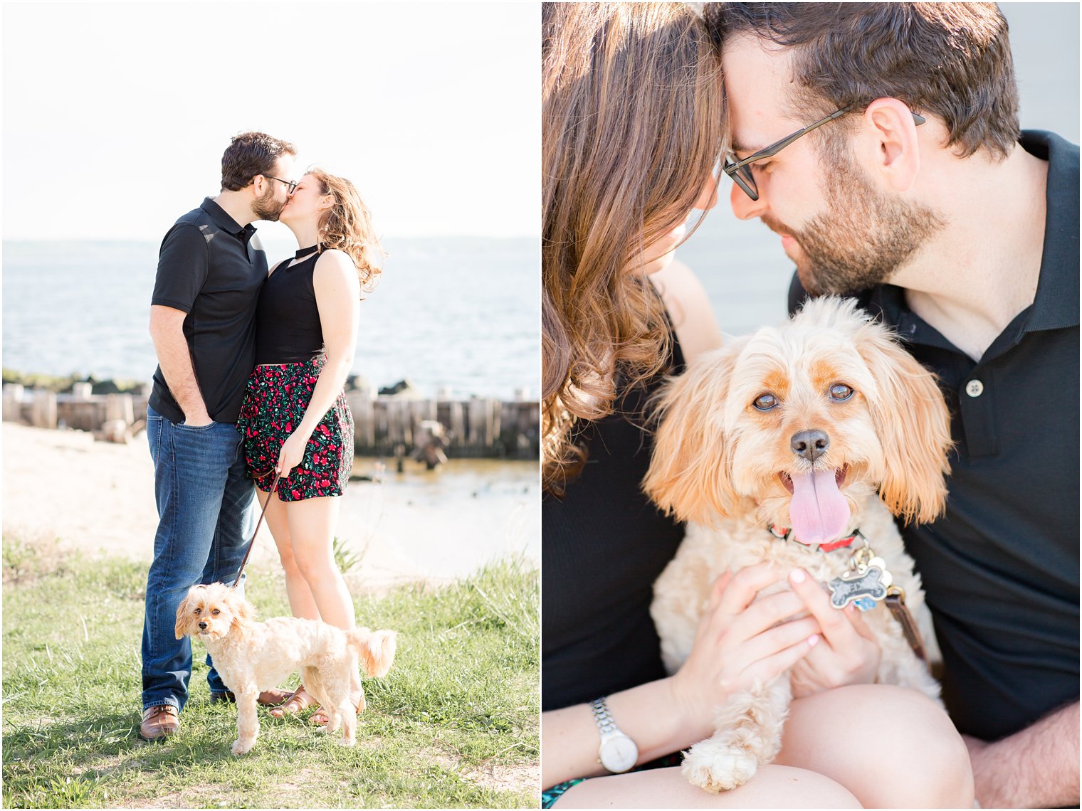 Cute engagement photos of couple with dog