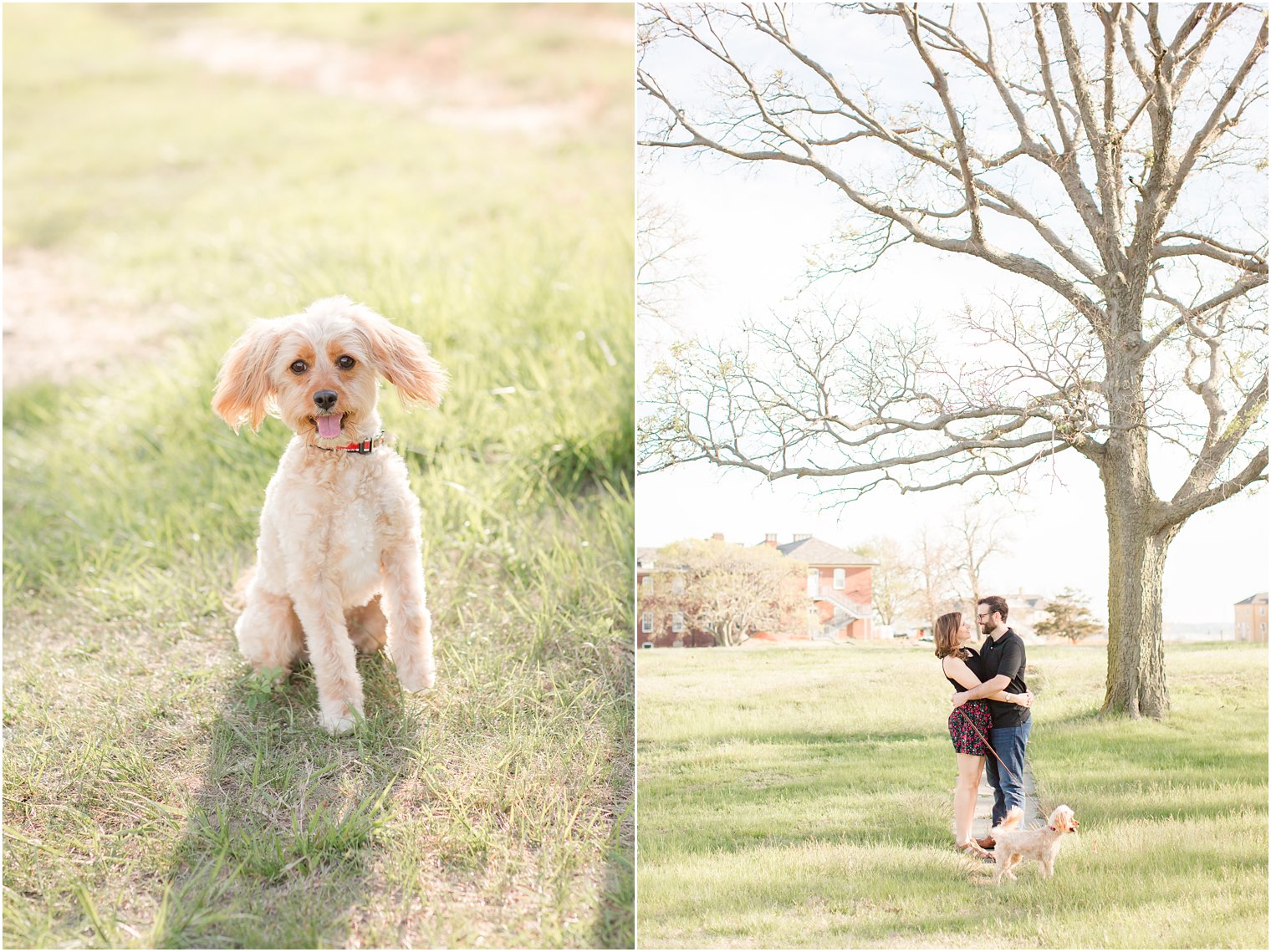 For Hancock engagement photo