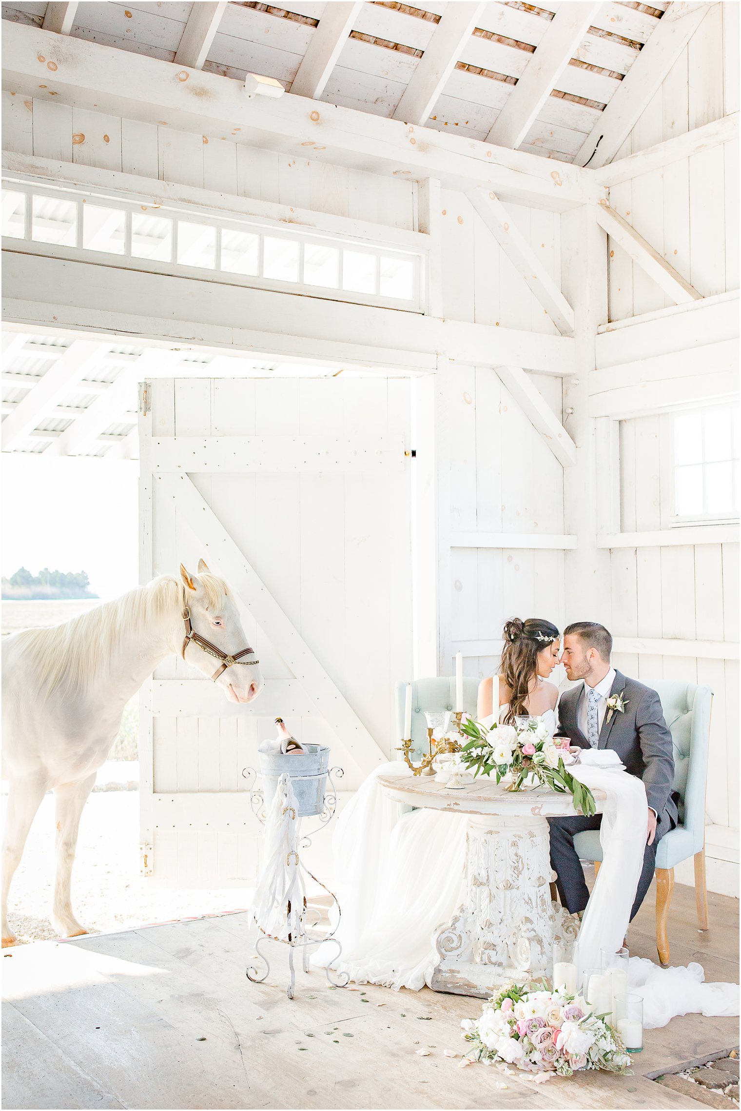 Styled shoot with horse