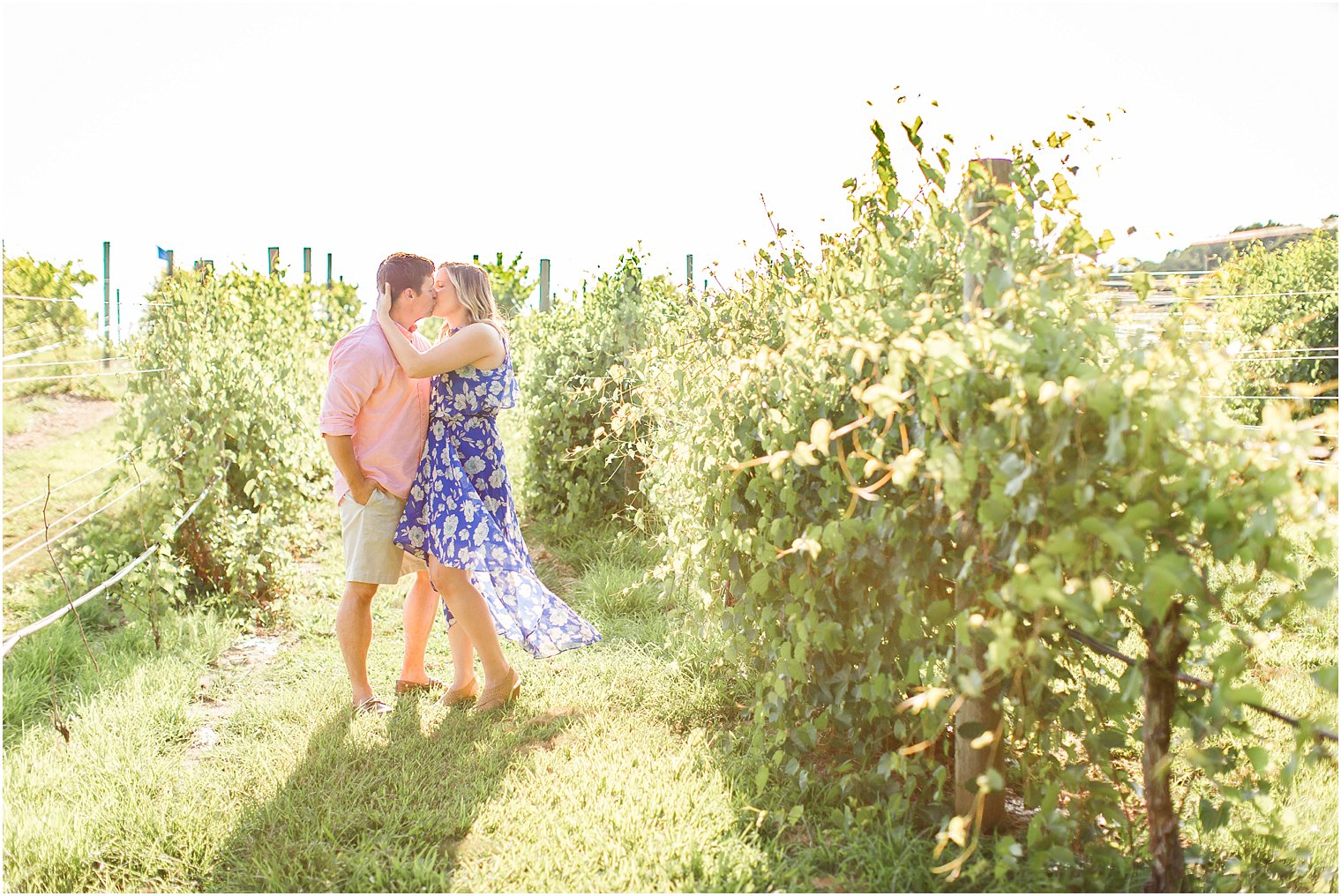 Engaged couple kissing in the vines at Laurita Winery