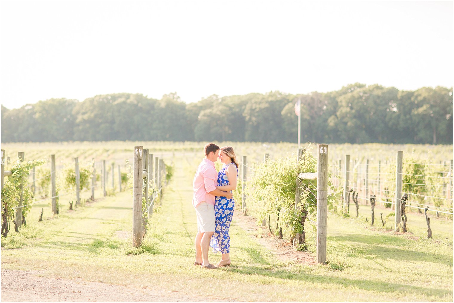 Summer engagement session at Laurita Winery among vines