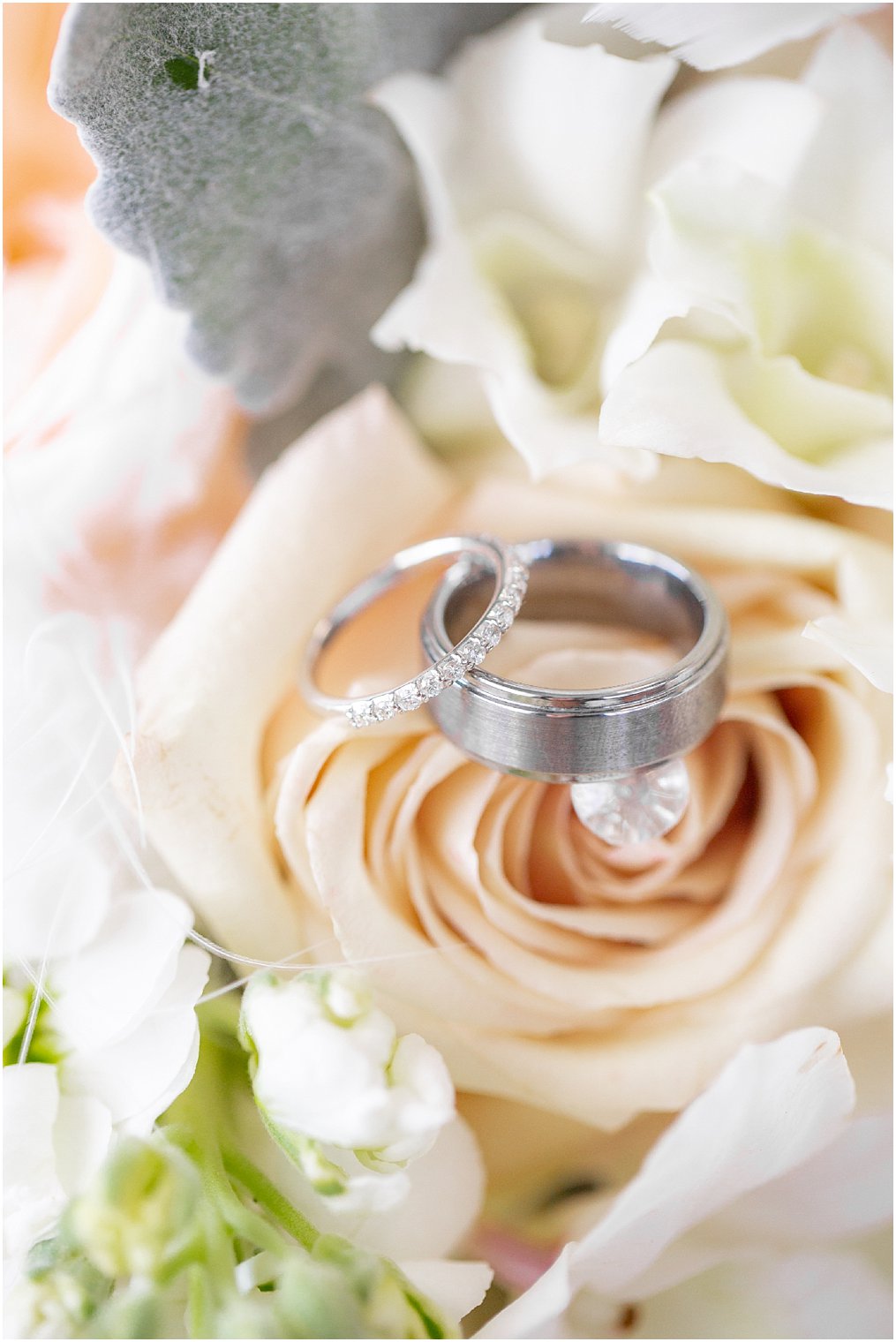 wedding bands on peach rose photographed by NJ wedding photographer Idalia Photography