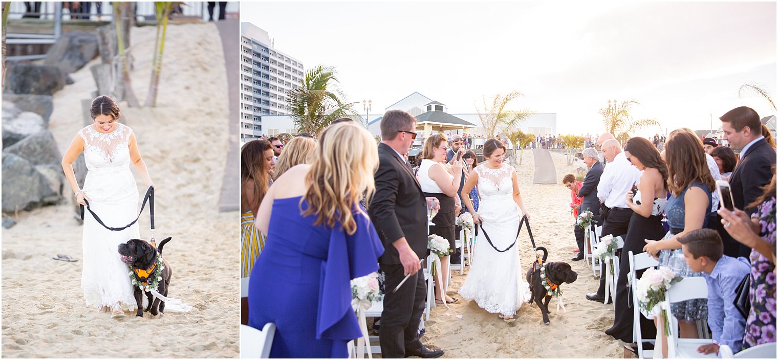bride walks down the aisle with her dog at Ocean Place Resort and Spa photographed by Idalia Photography