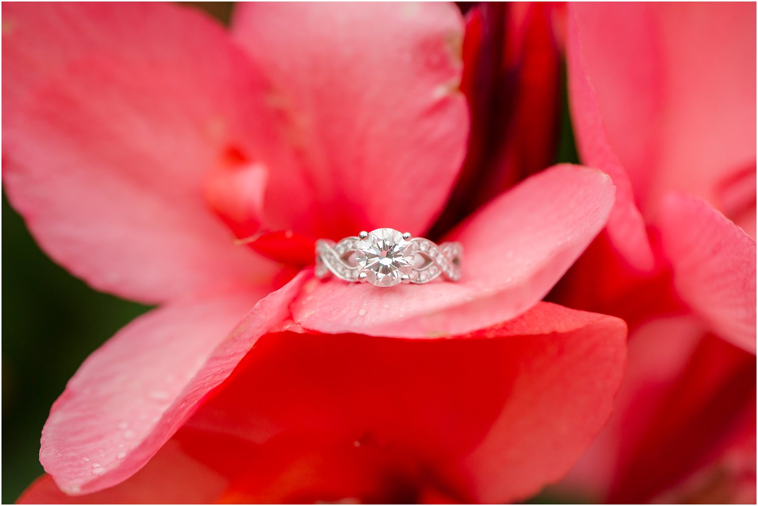 diamond engagement ring in red flower during Spring Lake NJ Engagement session