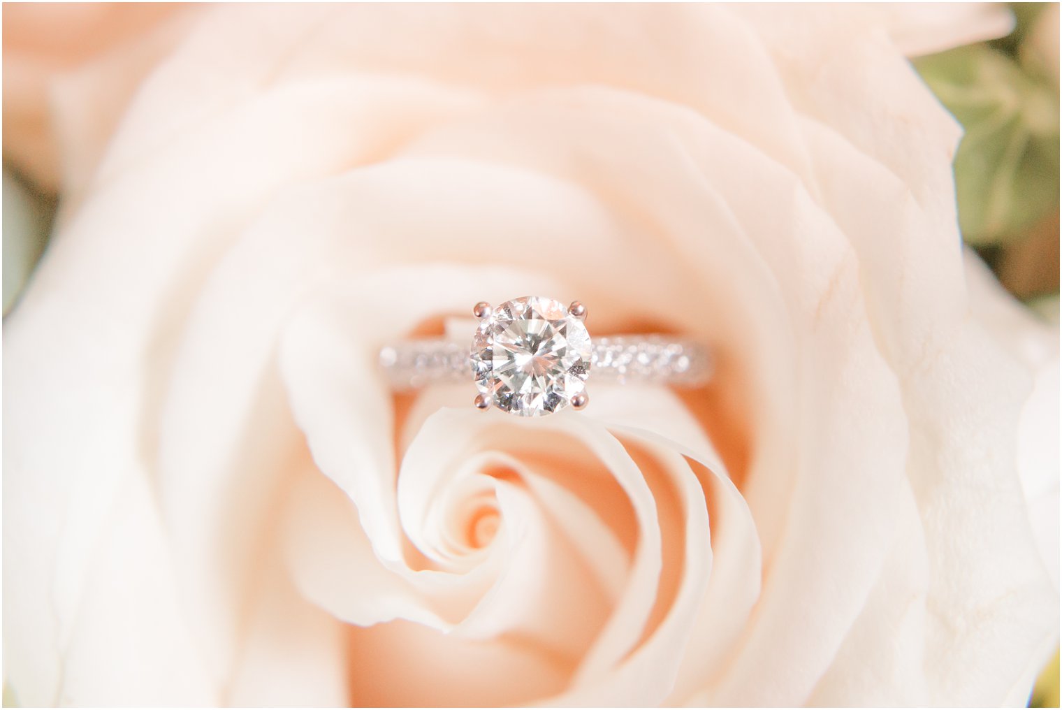 diamond engagement ring on light pink rose at Jasna Polana wedding