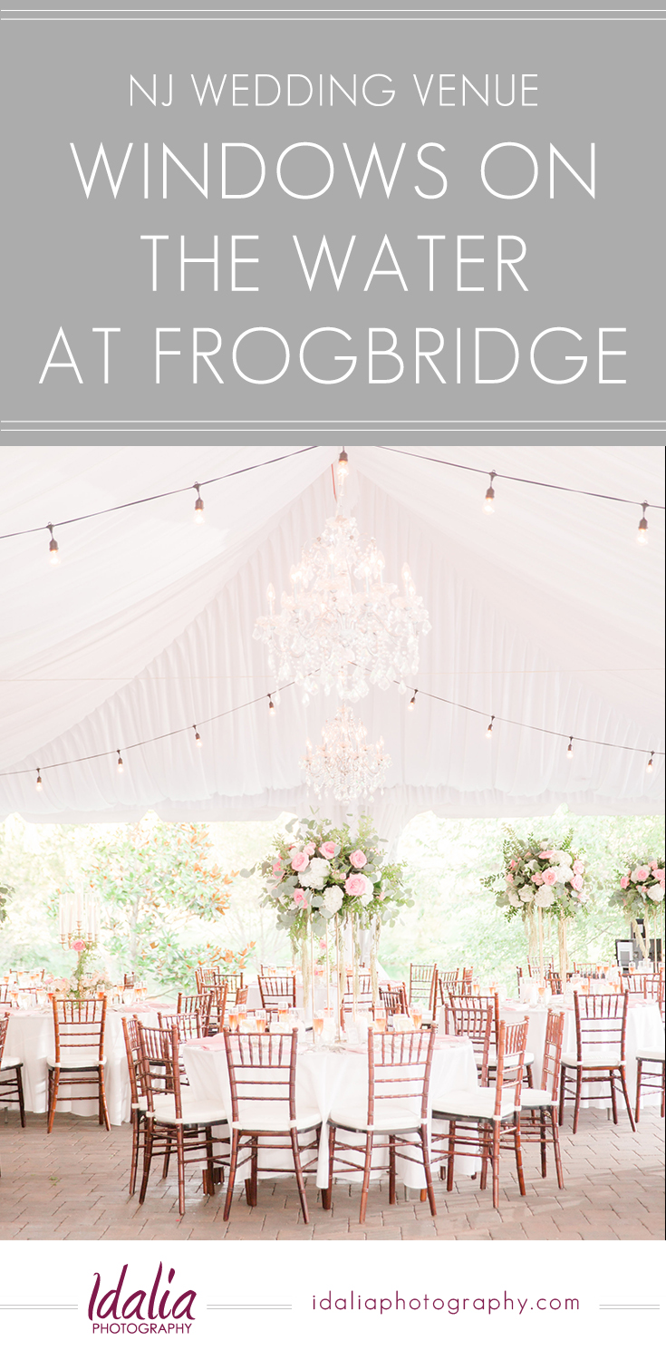 Windows on the Water  at Frogbridge Millstone NJ  Wedding  