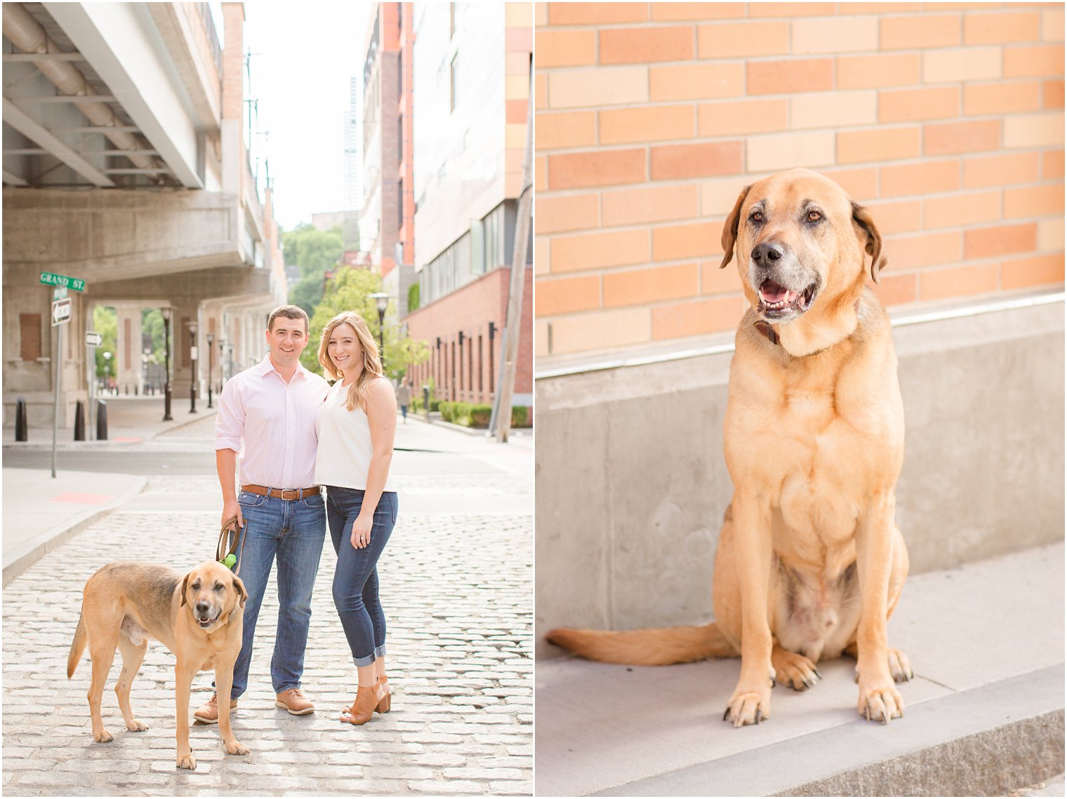 engagement portraits with dog and Idalia Photography
