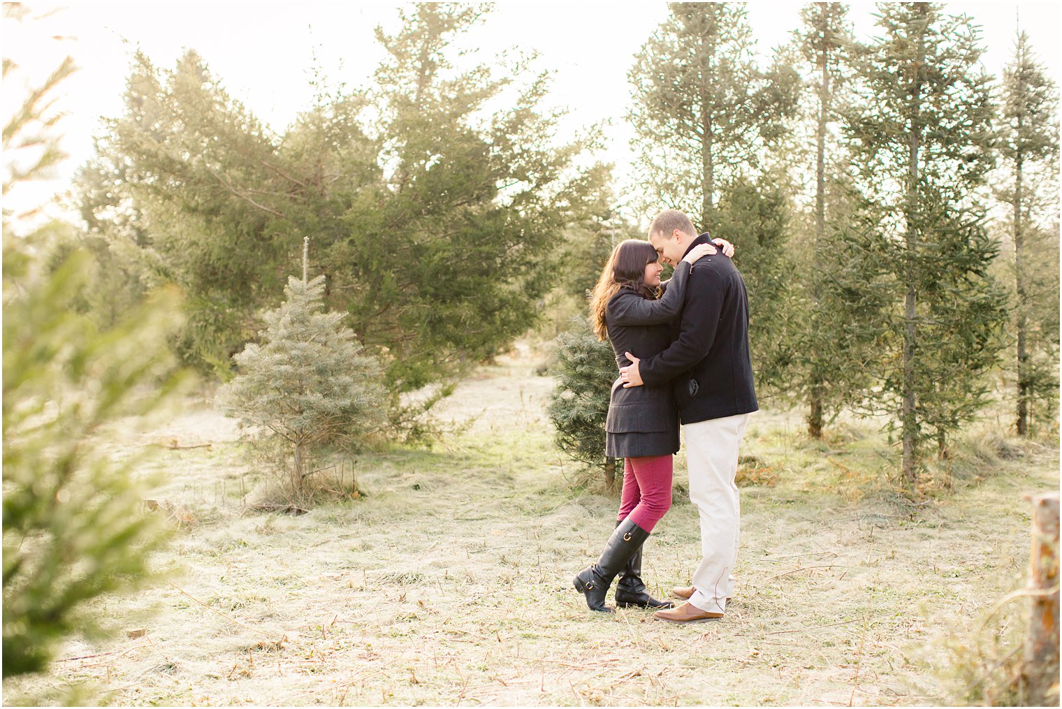 Photo of engaged couple on a tree farm