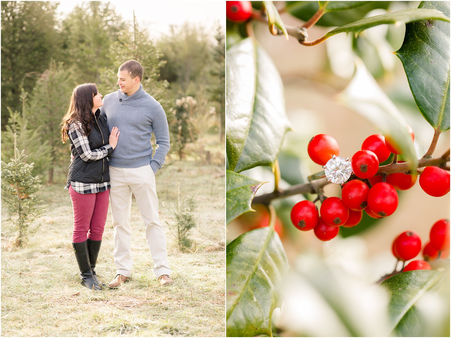 engagement ring in a holly tree