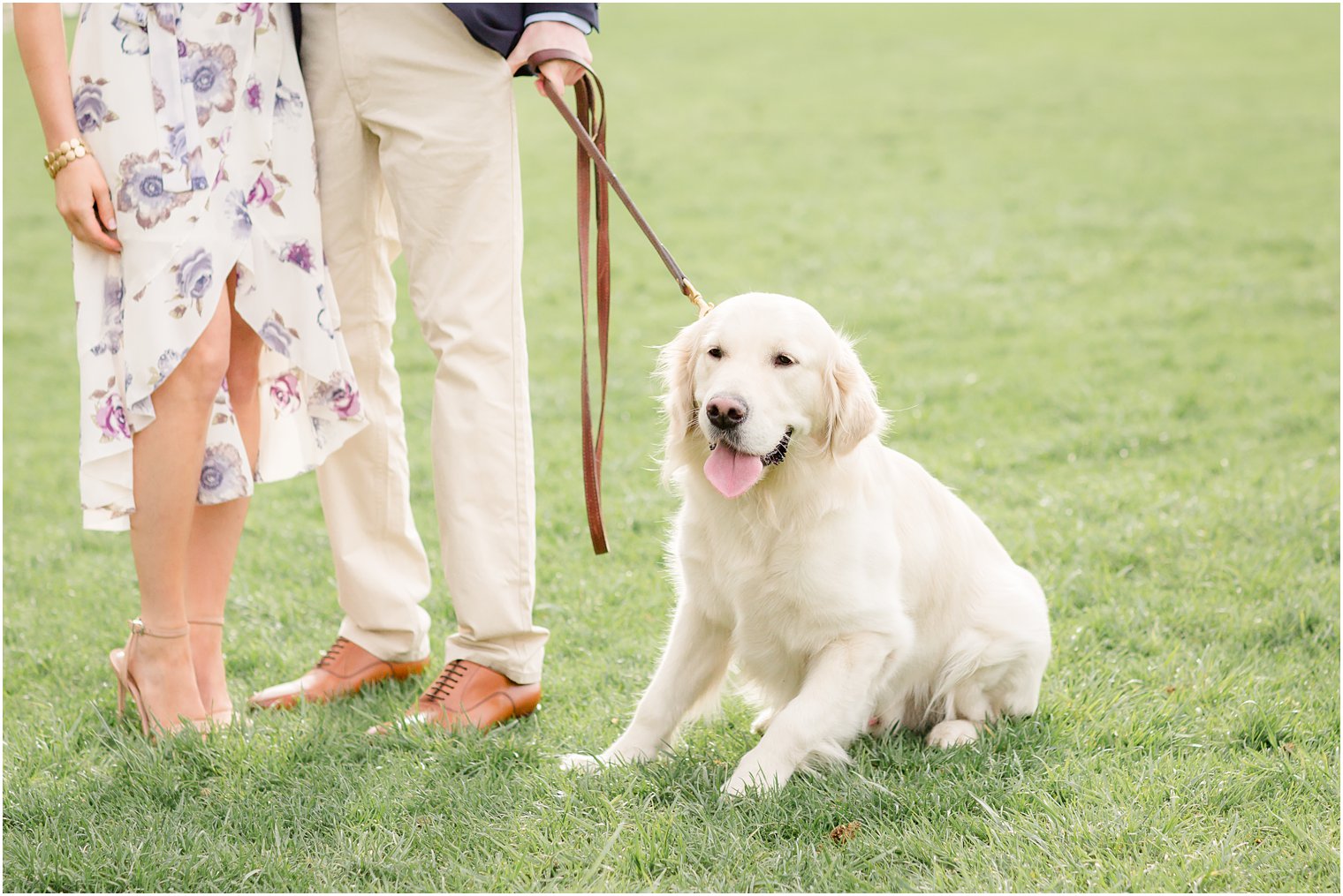 incorporating dog into engagement photos