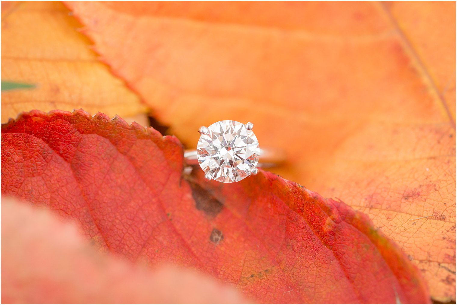 Engagement ring; diamond solitaire on an orange leaf