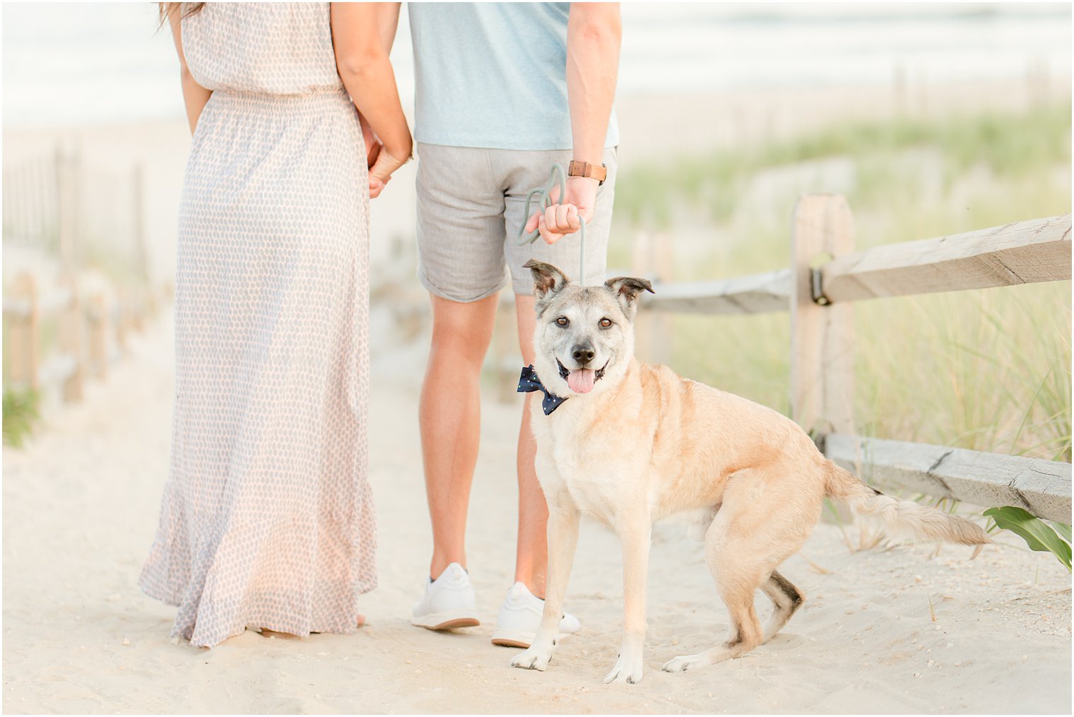 engagement session with dogs