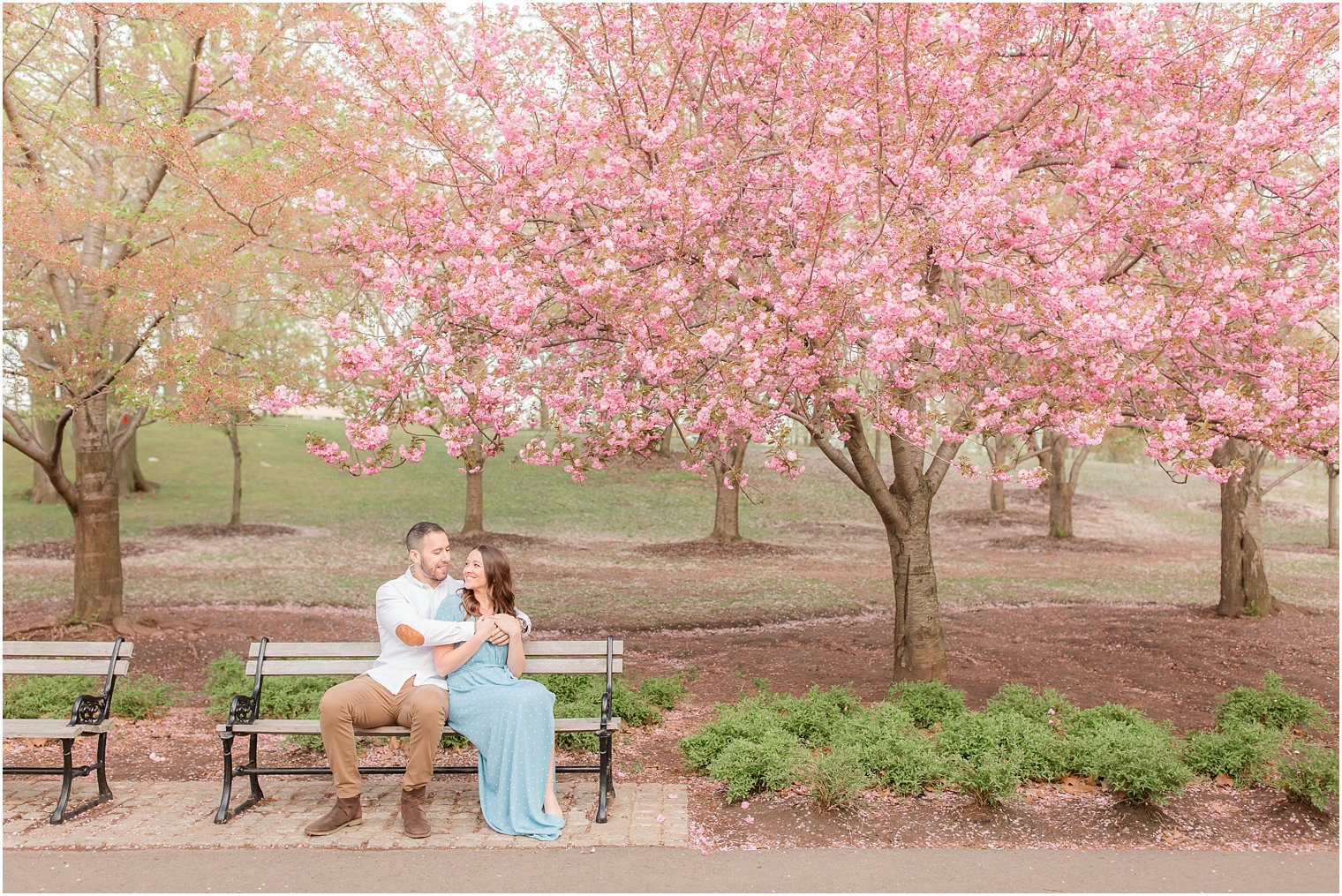 Cherry blossom engagement photos in Newark NJ 