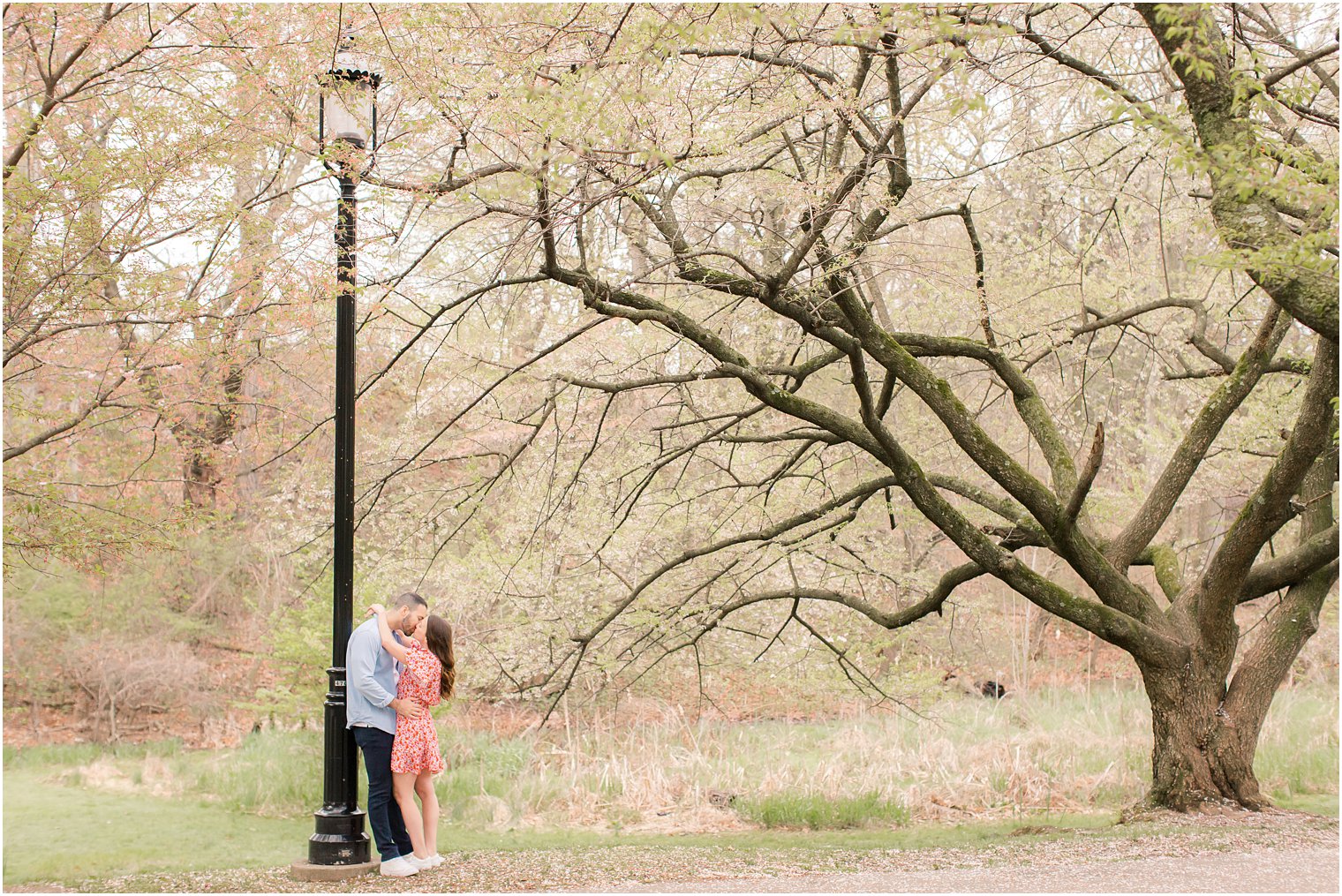 Engaged couple at Branch Brook Park in Newark NJ 