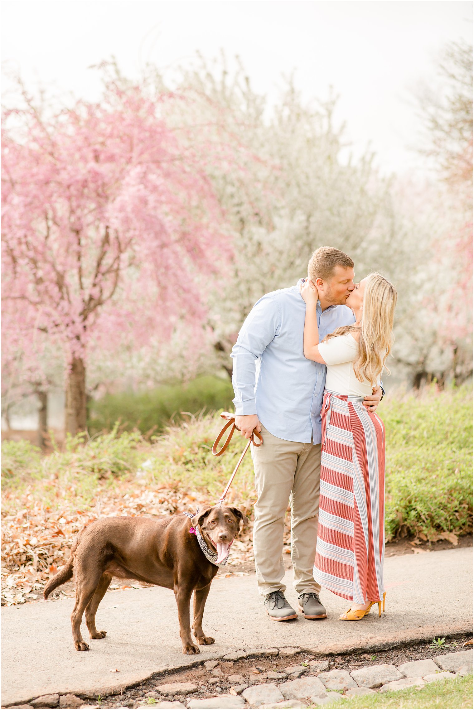 Spring Cherry Blossom Engagement session photos at Branch Brook Park by Idalia Photography