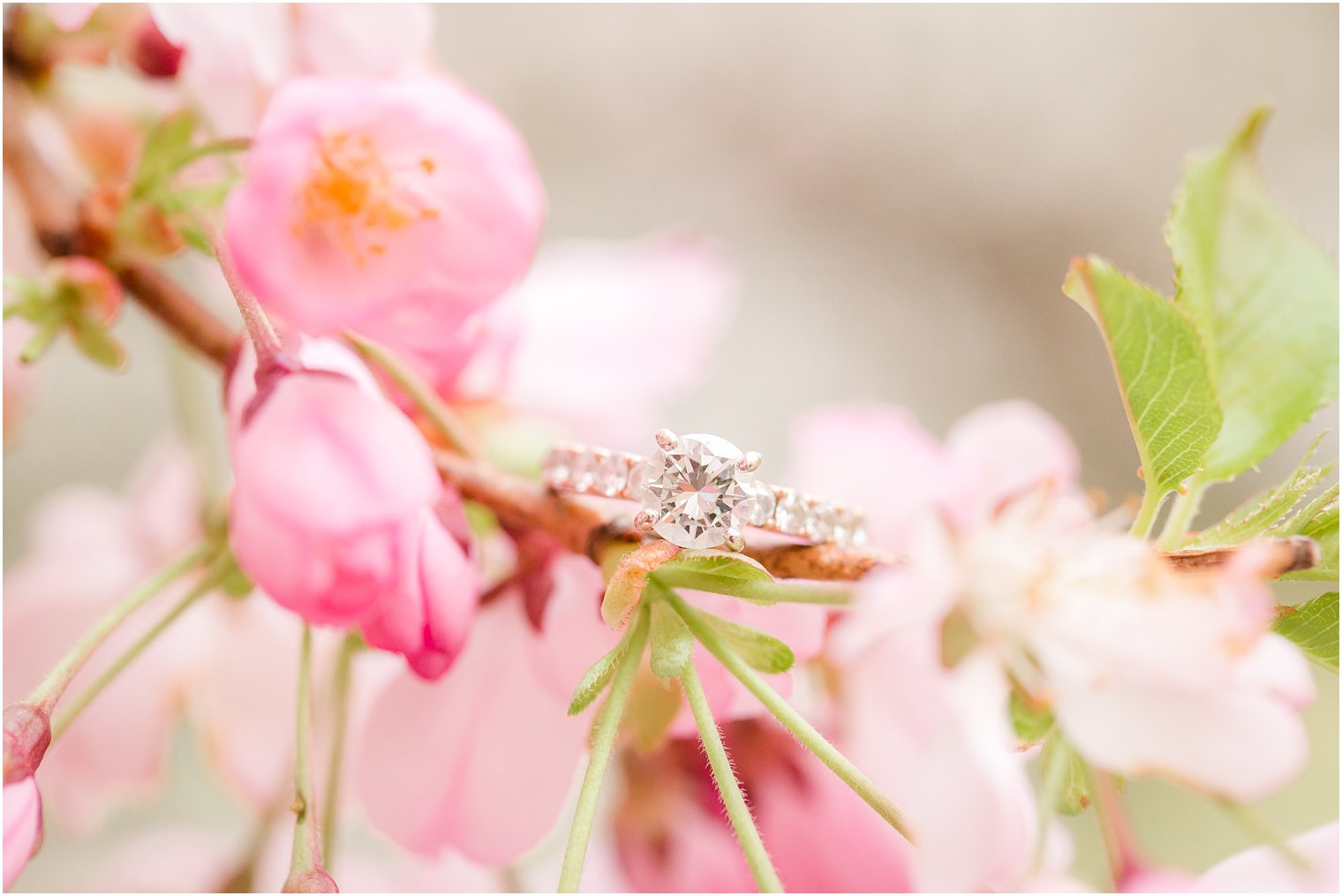 Photo of engagement ring at Branch Brook Park by Idalia Photography