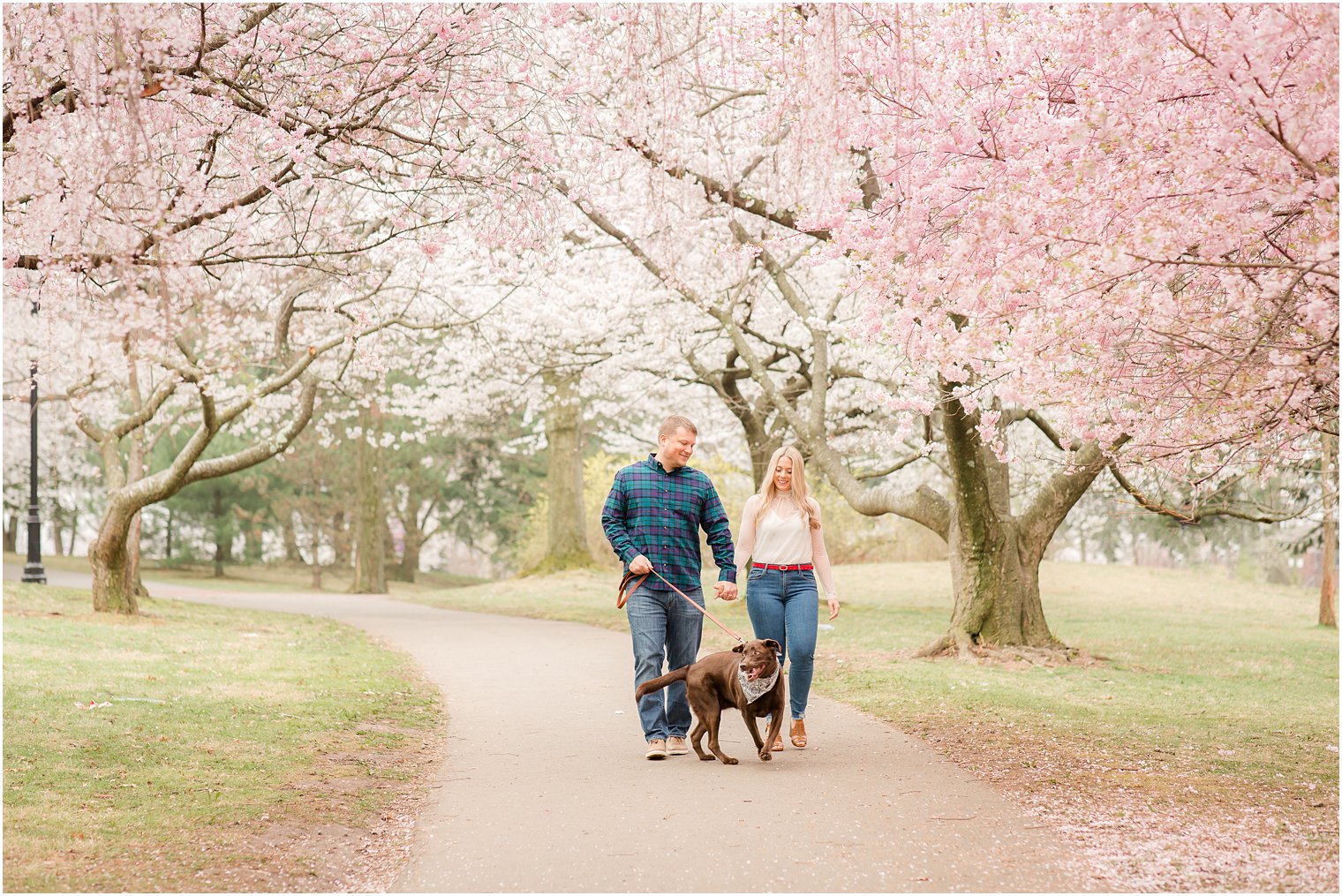 Spring Cherry Blossom Engagement session photos with dog at Branch Brook Park by Idalia Photography