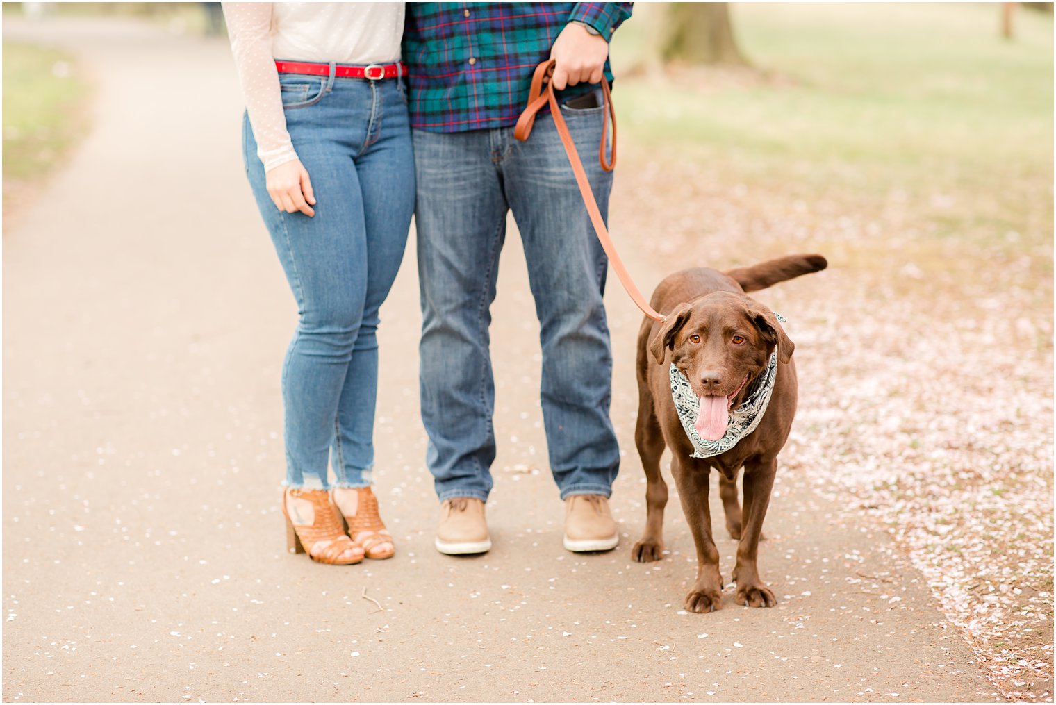 Spring Cherry Blossom Engagement session photos with dog at Branch Brook Park by Idalia Photography