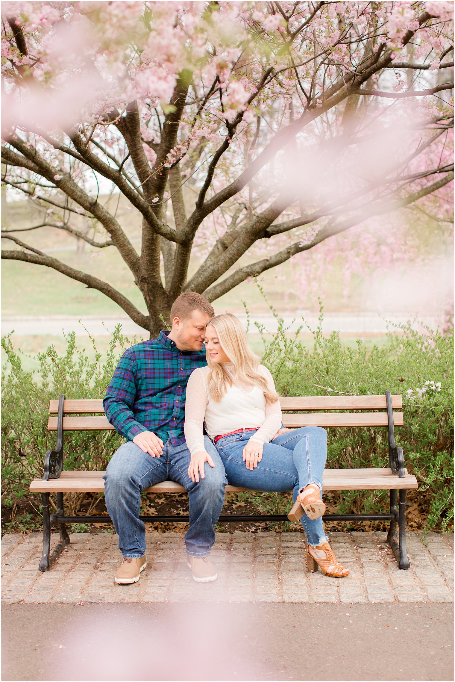 Spring Cherry Blossom Engagement session photos with dog at Branch Brook Park by Idalia Photography