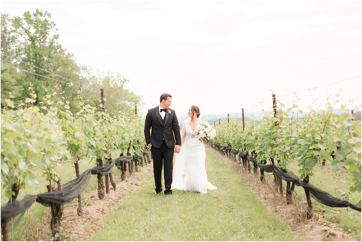 couple walking in vines in Stone Tower Winery Wedding Photos by Idalia Photography