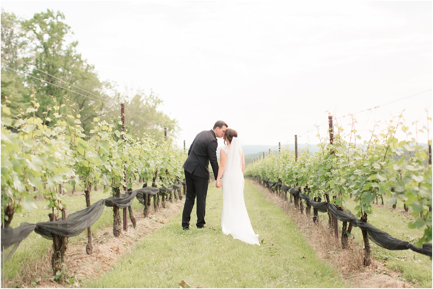 bride and groom walking in Stone Tower Winery Wedding Photos by Idalia Photography