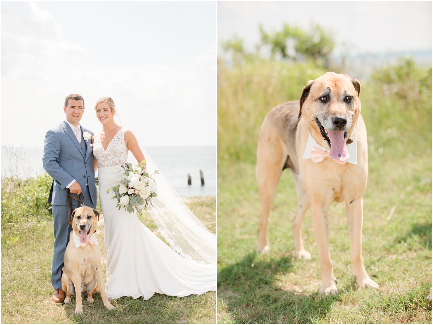 wedding day portraits with dog photographed by New Jersey wedding photographer Idalia Photography