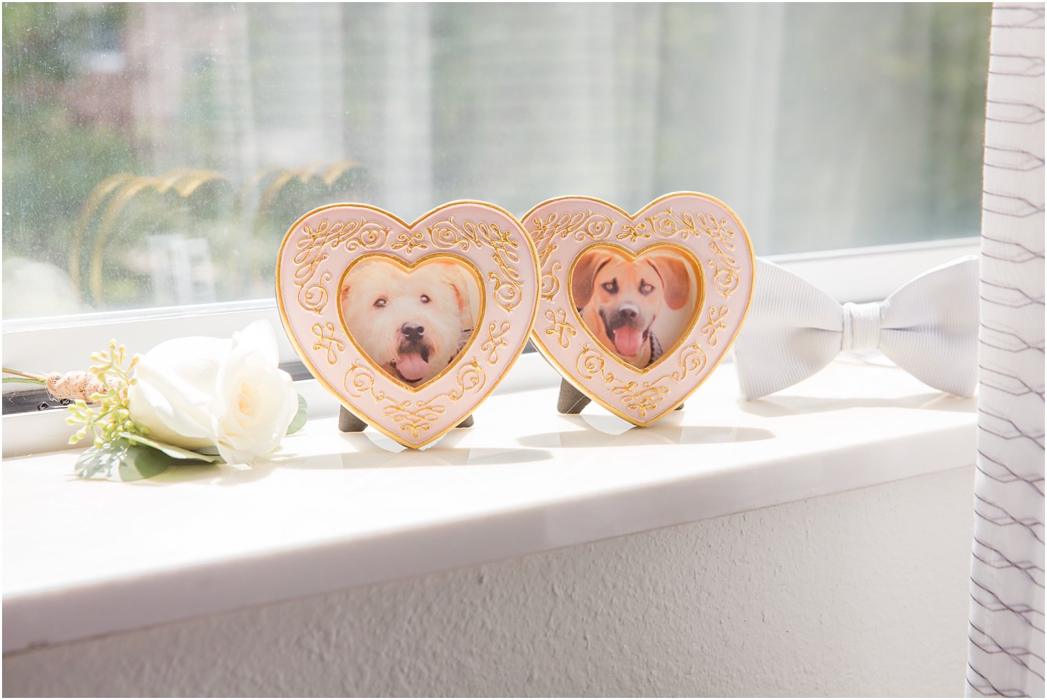 Heart-shaped frames with photos of dogs