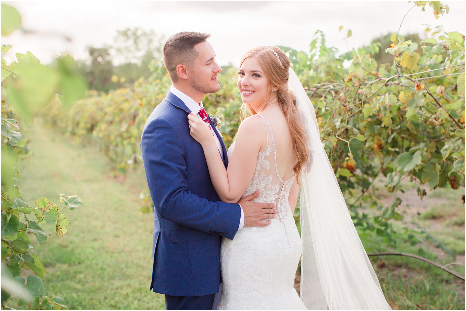 Romantic photo of bride and groom in a vineyard