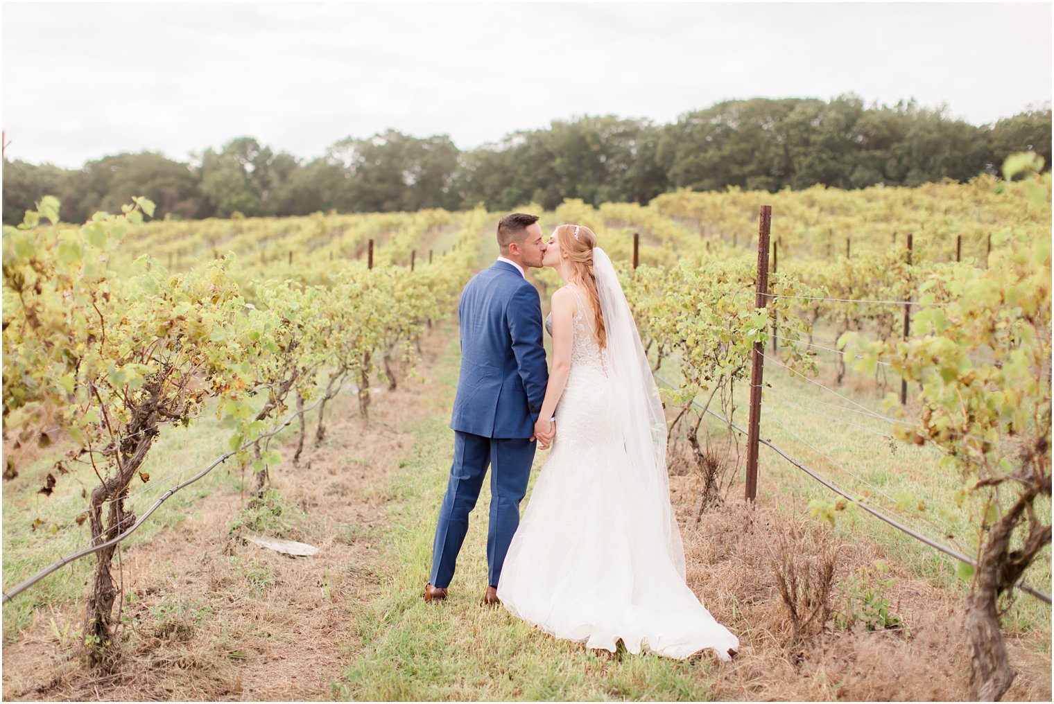 Groom and bride kissing in vineyard