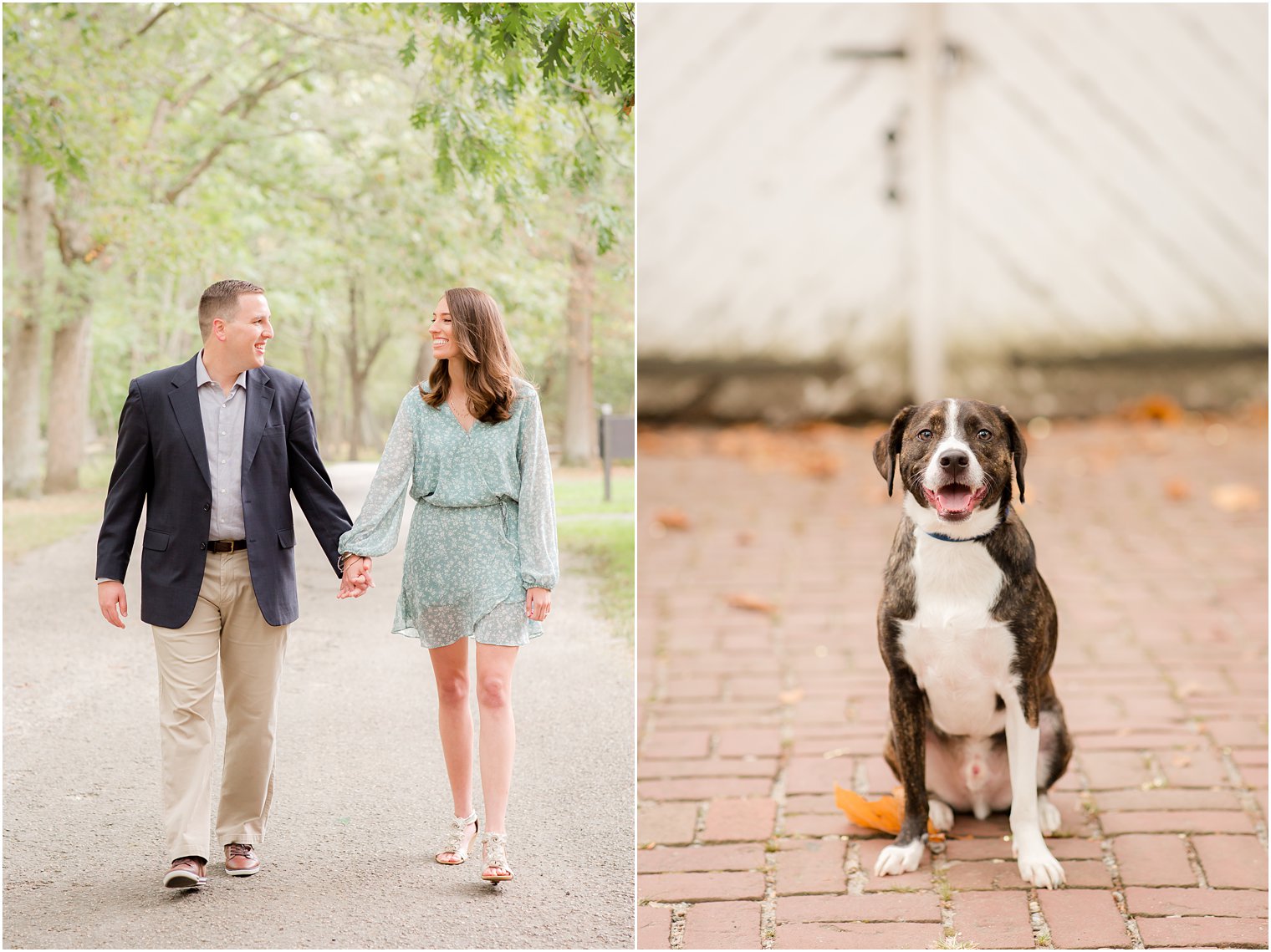 fall Allaire State Park engagement session with Idalia Photography