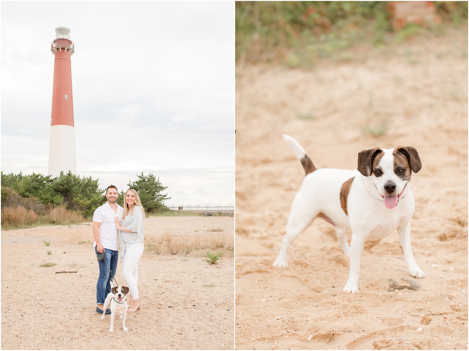 engagement portraits with dog by Idalia Photography