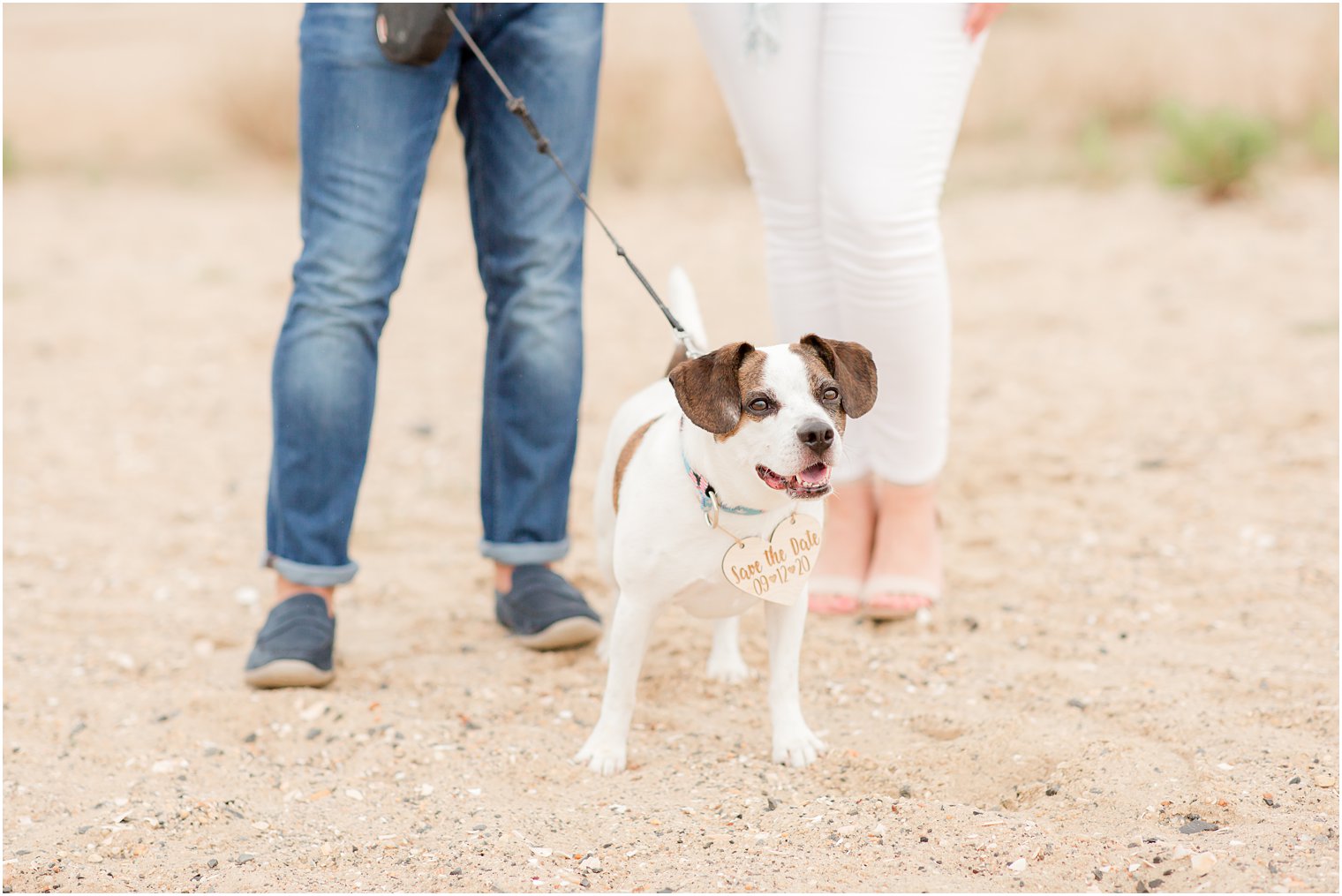 dog with save the date sign photographed by Idalia Photography