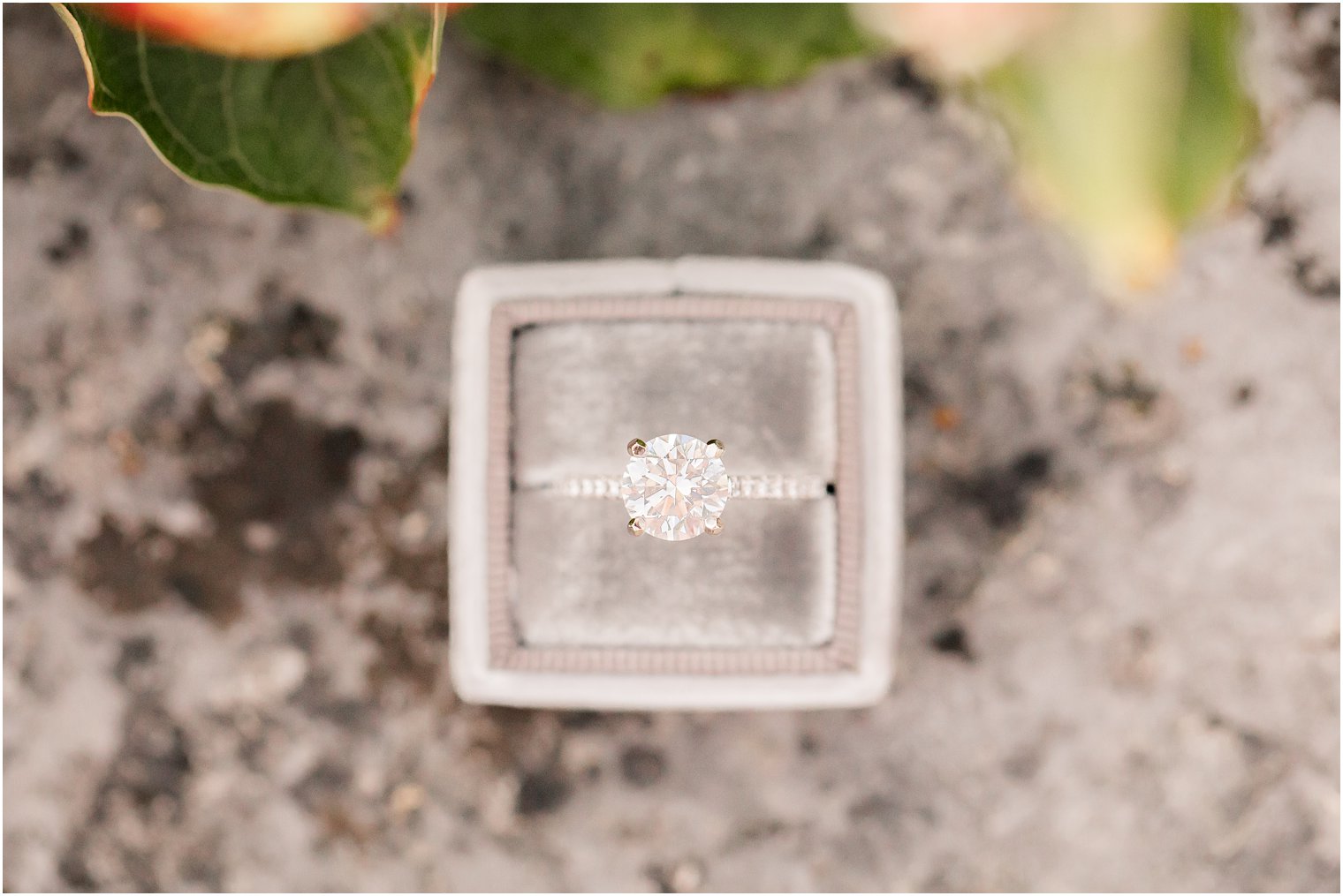 engagement ring photographed by Idalia Photography
