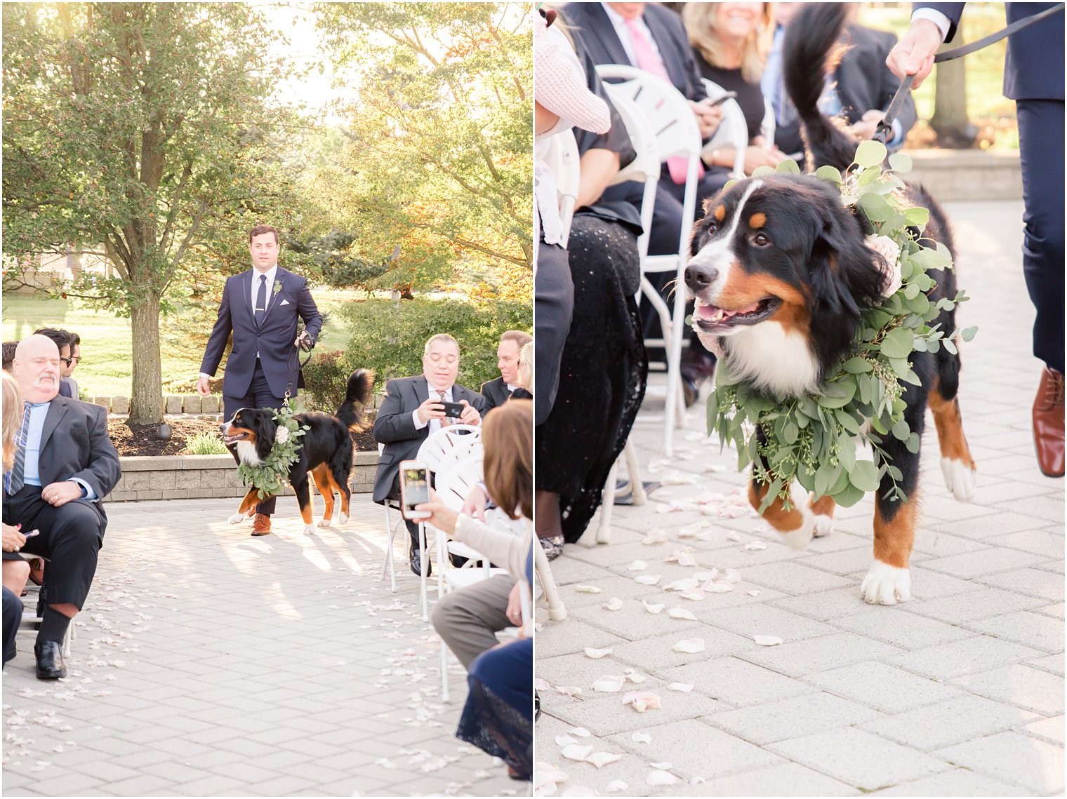 dog enters wedding ceremony at Windows on the Water at Frogbridge 