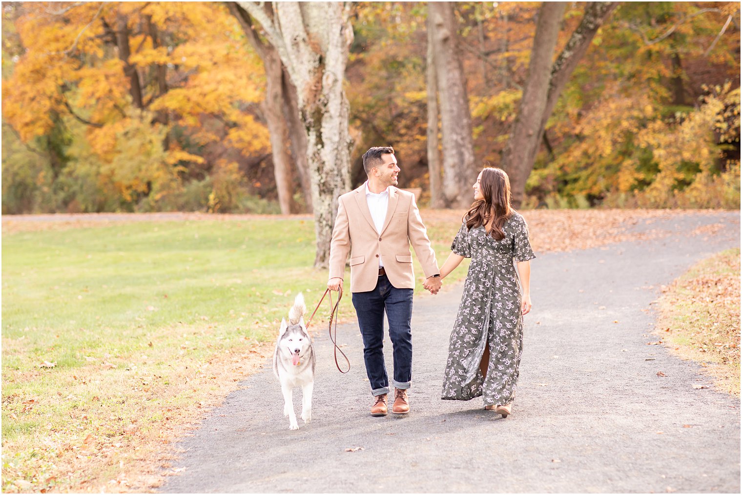 couple walking their husky dog during their fall engagement session at Natirar Park
