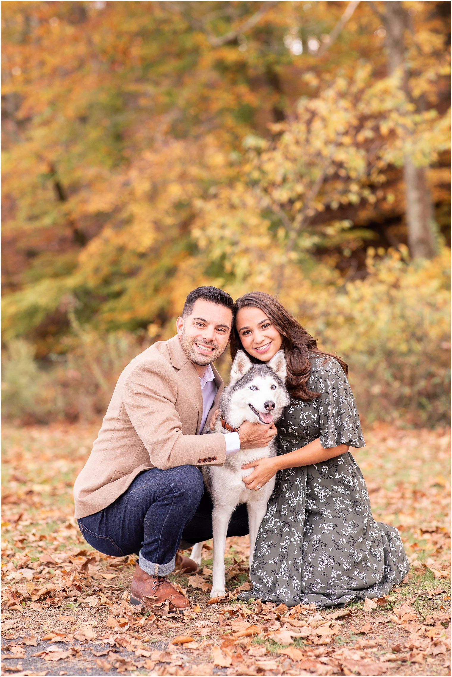 young engaged couple with their husky at Natirar Park