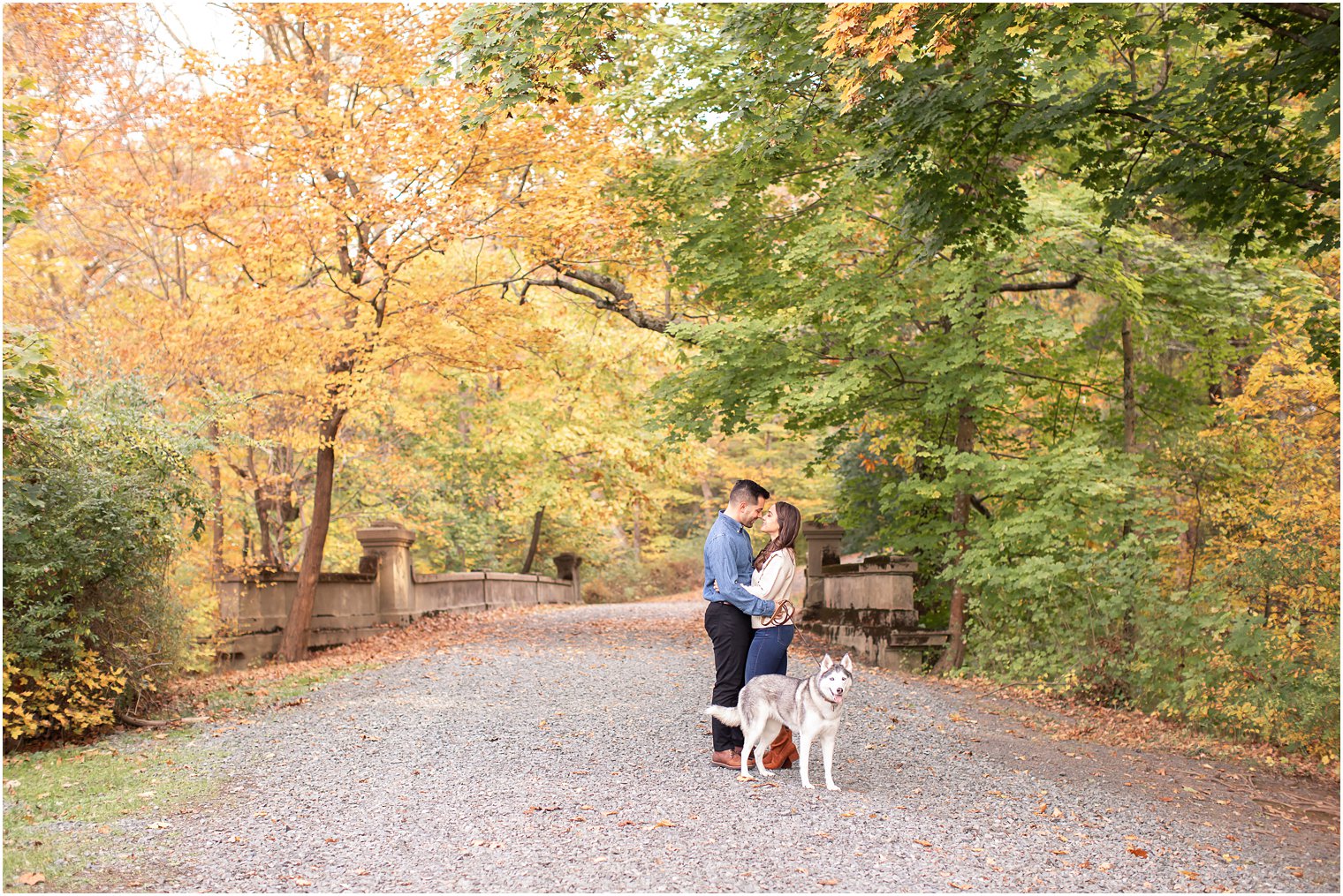romantic engagement session with husky dog at Natirar Park