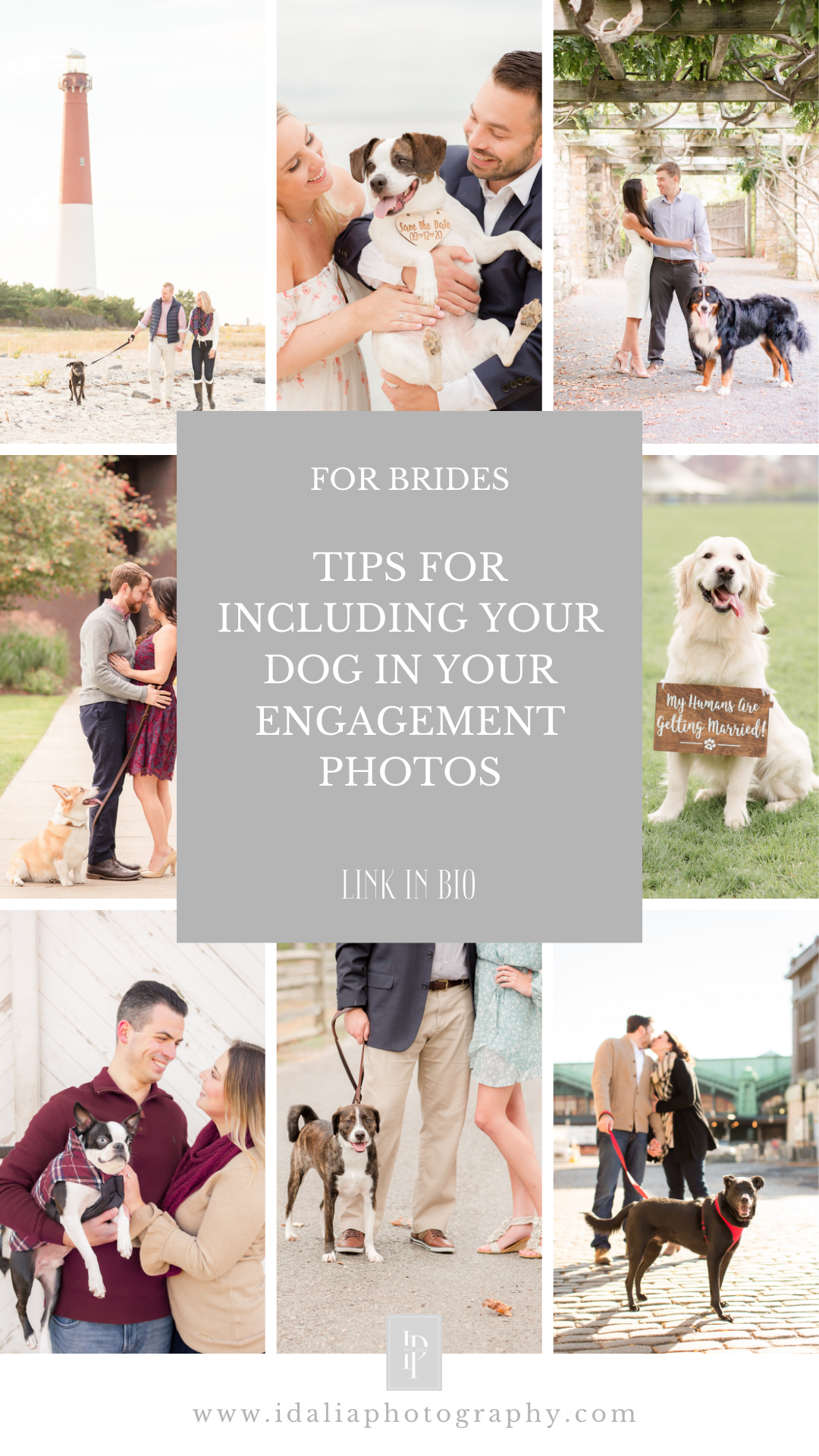 Tips for Including Your Dog in Your Engagement Photos | Photos by Idalia Photography