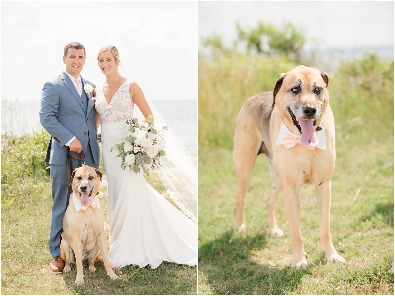 bride and groom with dog