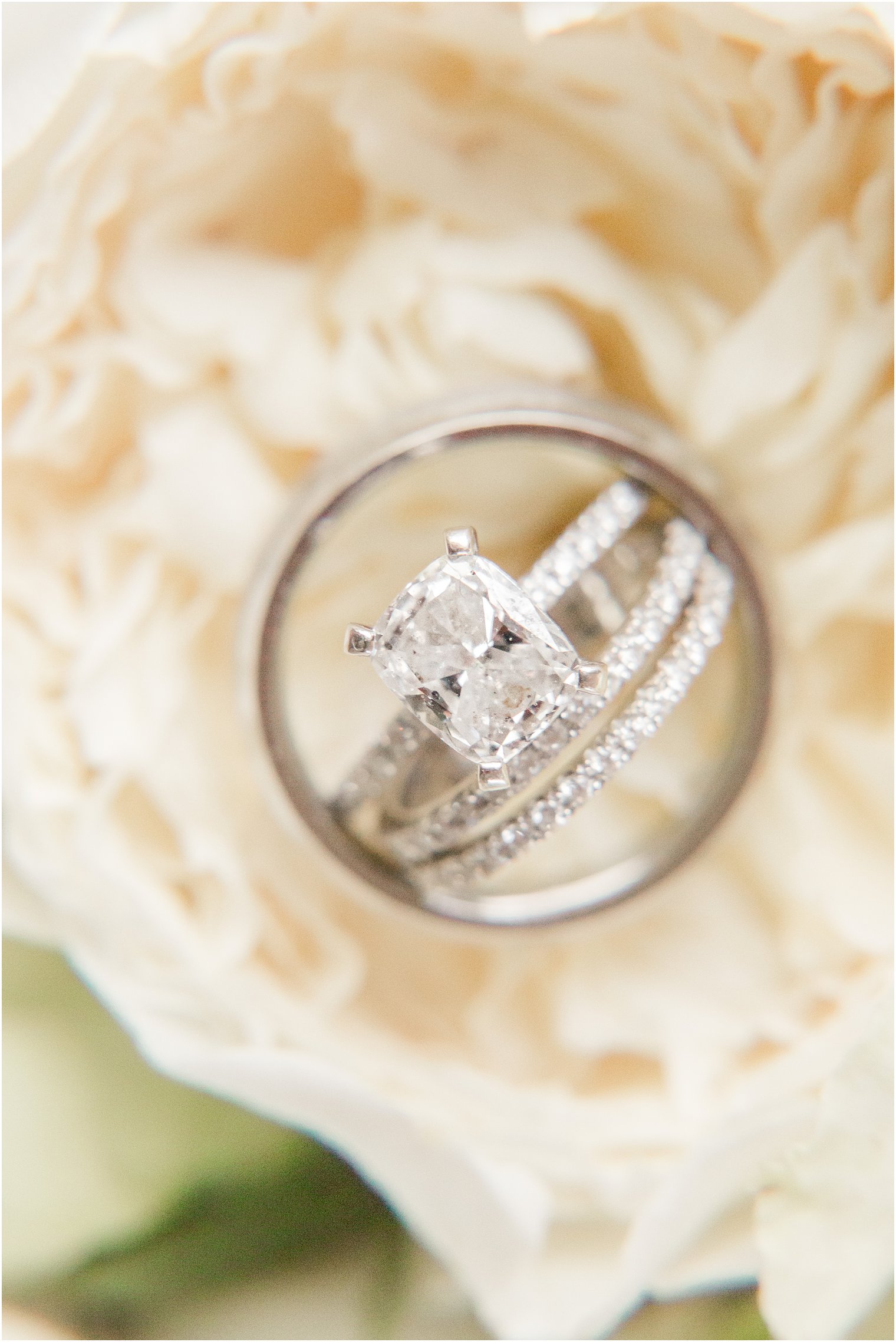diamond ring rests on ivory flower