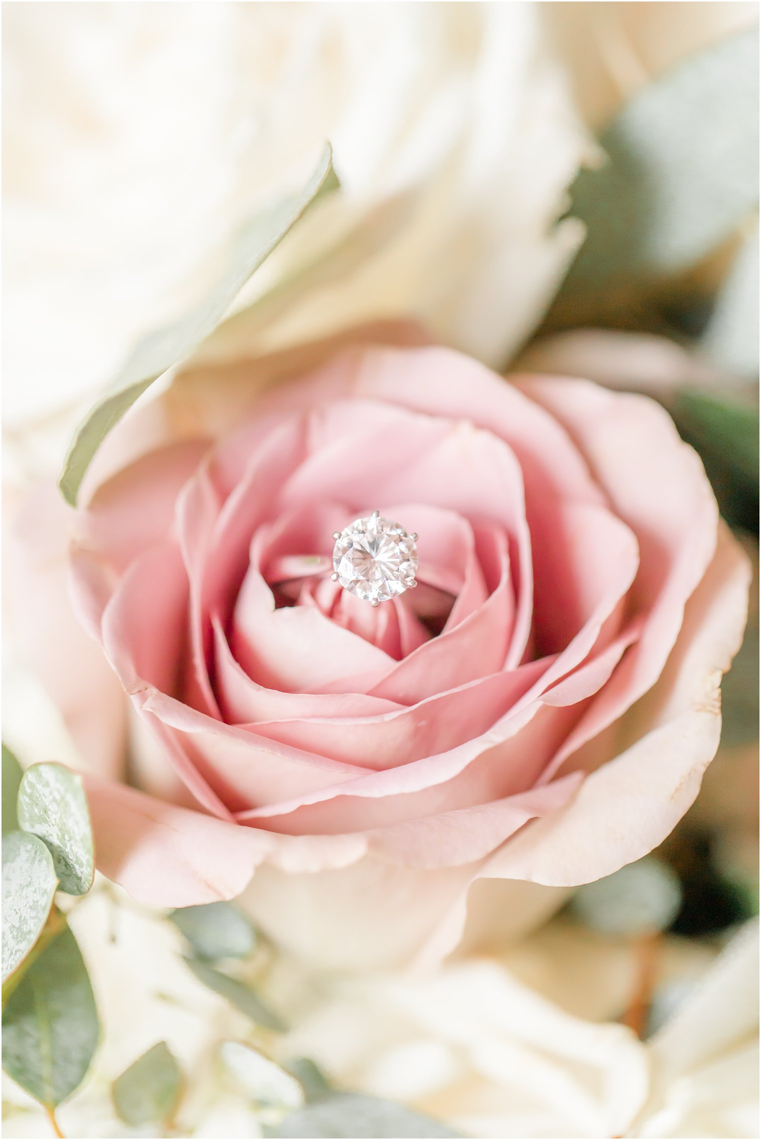 wedding ring sits on pink rose during NJ wedding prep