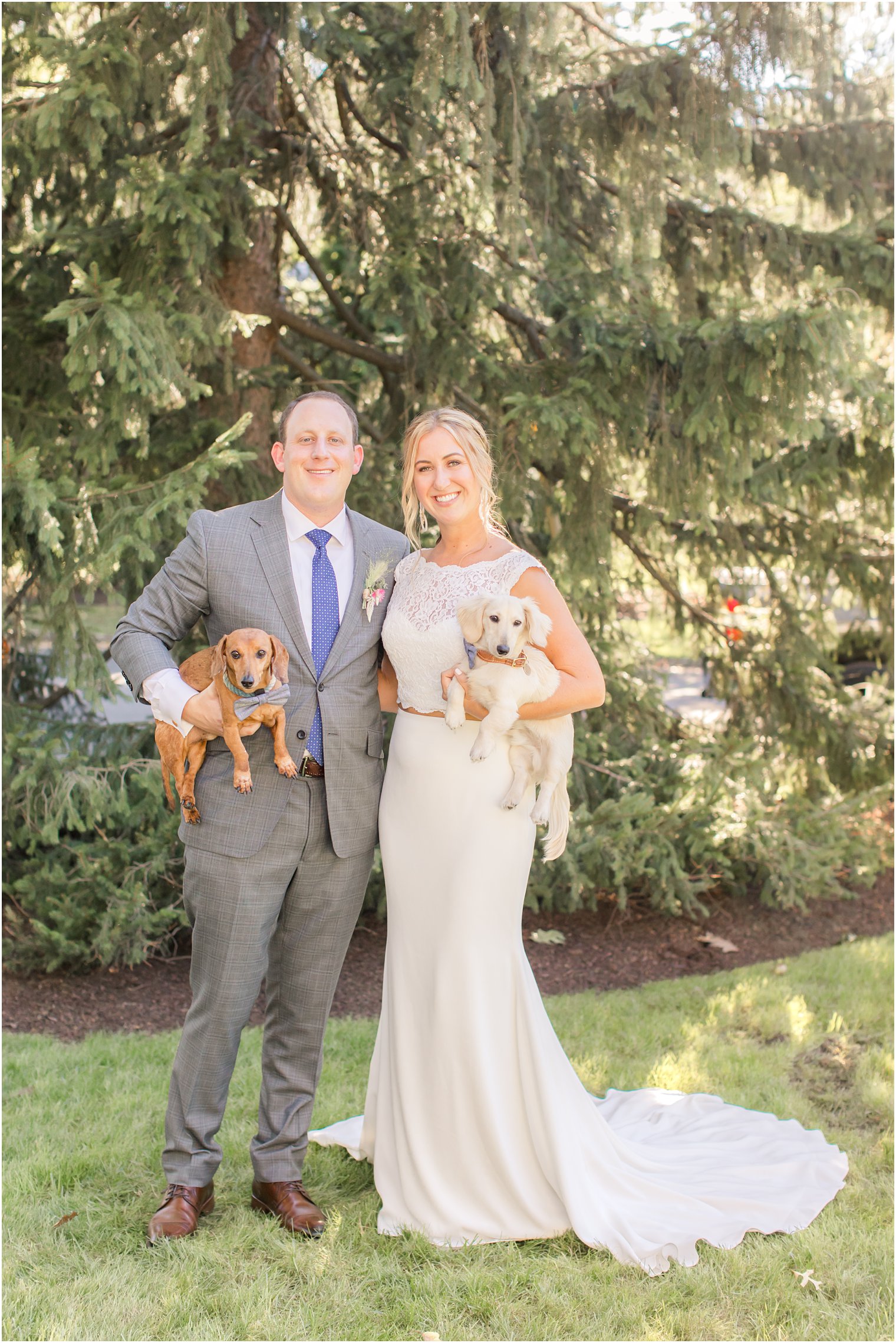 bride and groom hold dogs during wedding portraits in New Jersey