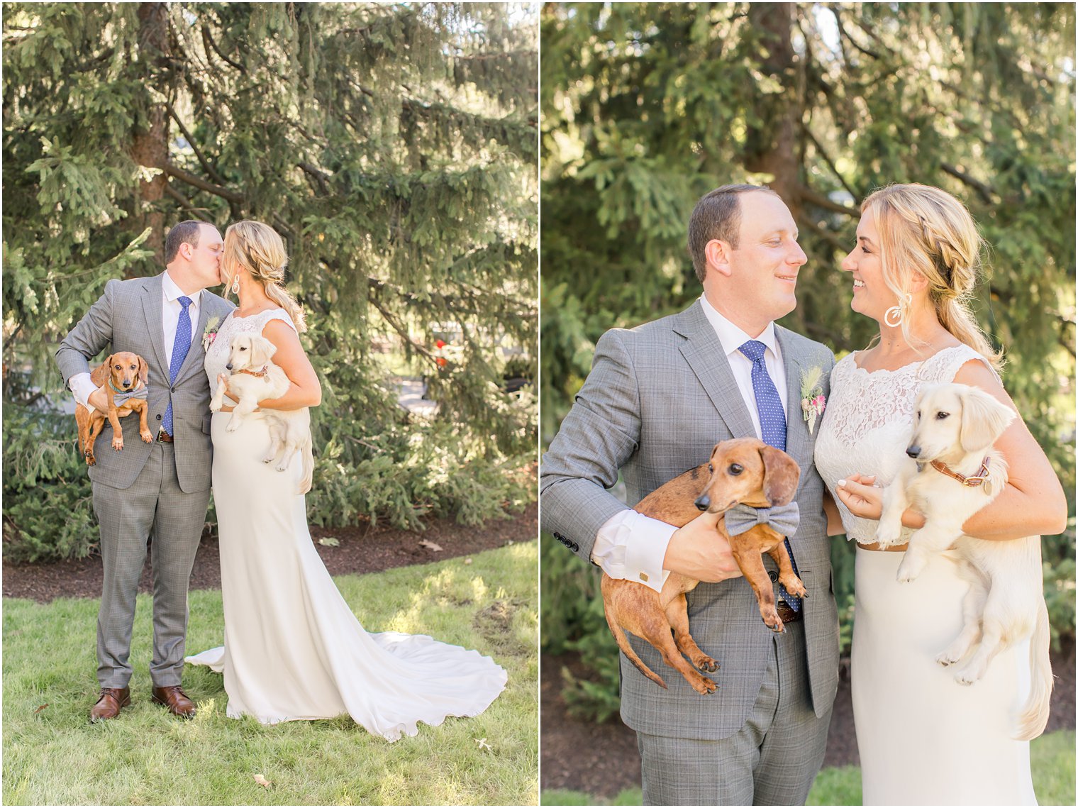 bride and groom hold their dogs during Westfield NJ backyard wedding