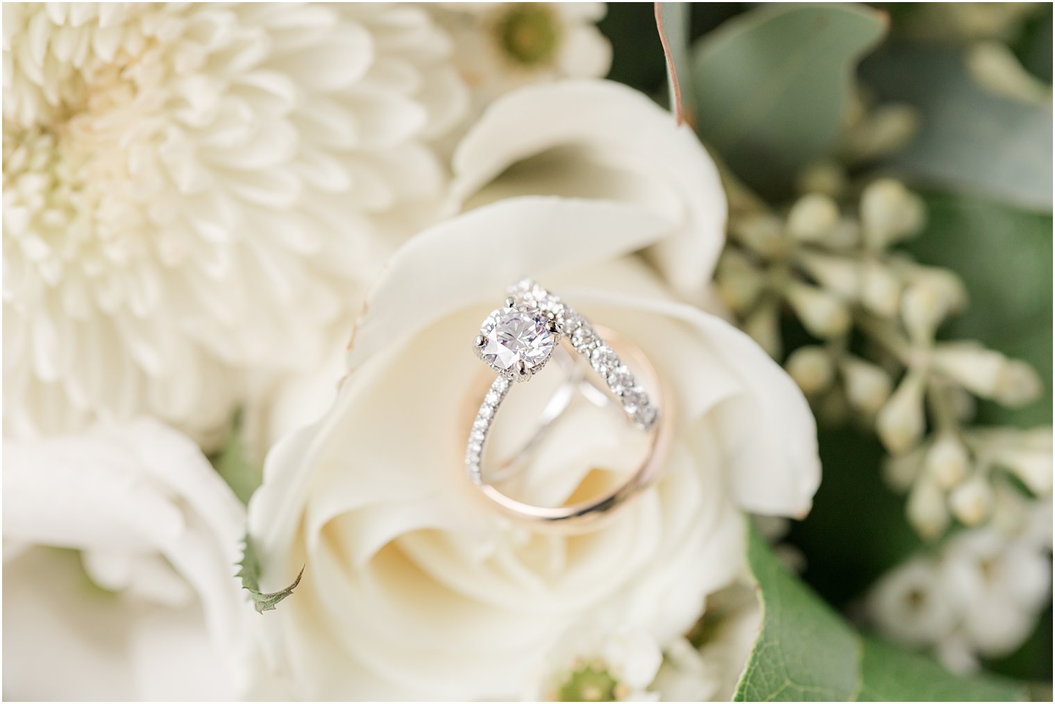 wedding rings rest on ivory rose