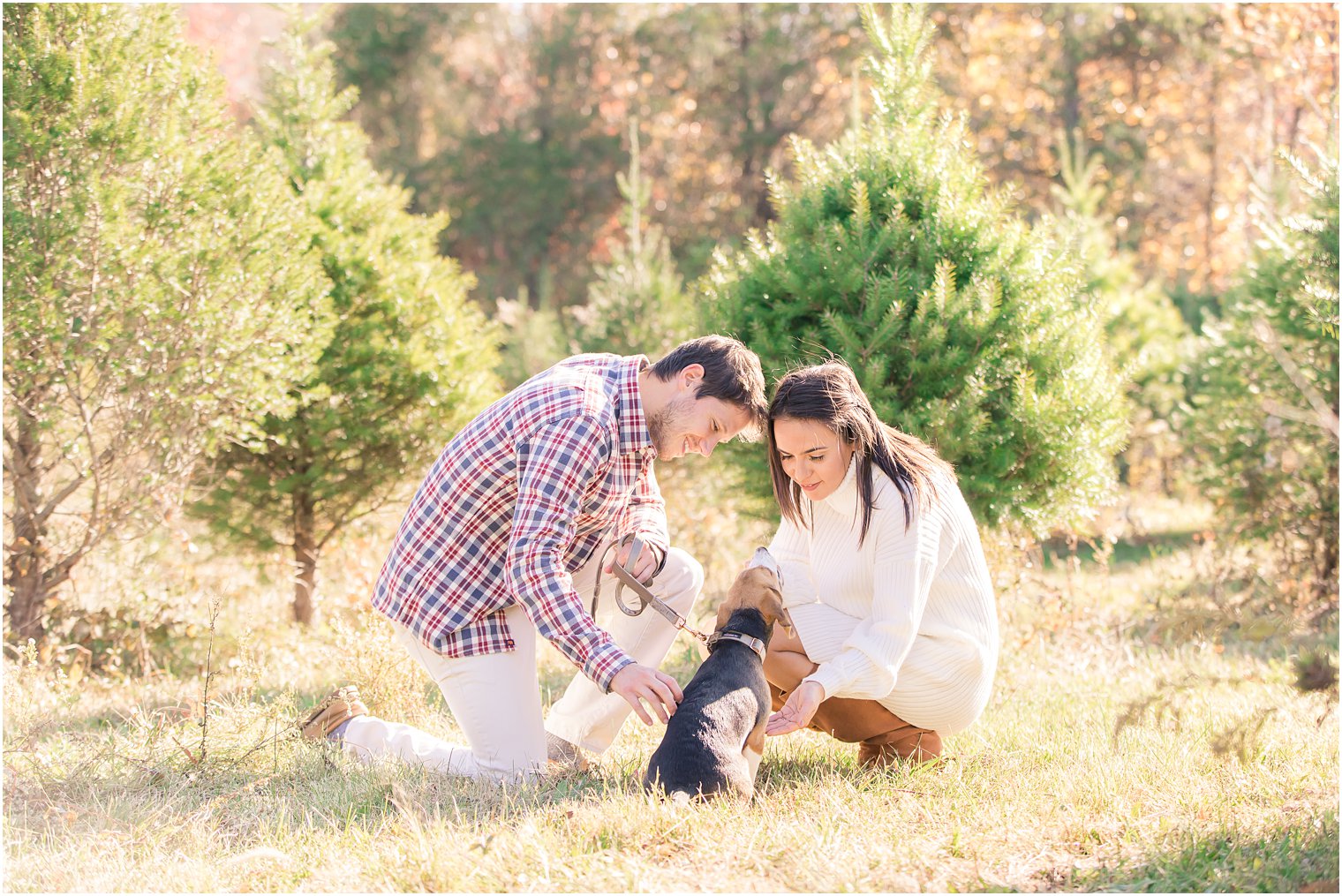bride and groom pose with dog during Christmas Tree Farm engagement session
