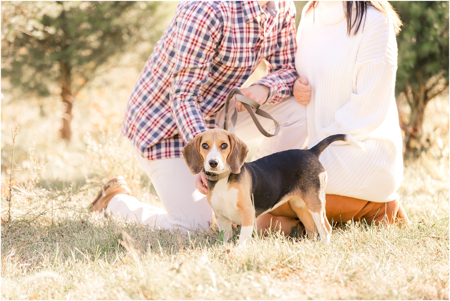 bride and groom hold puppy during NJ engagement photos