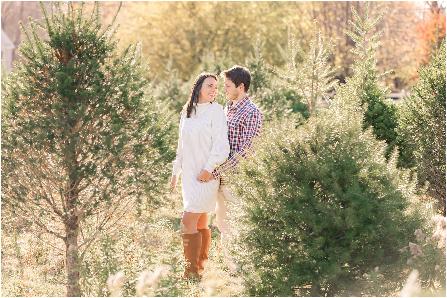 engagement portraits on tree farm in Cranbury NJ