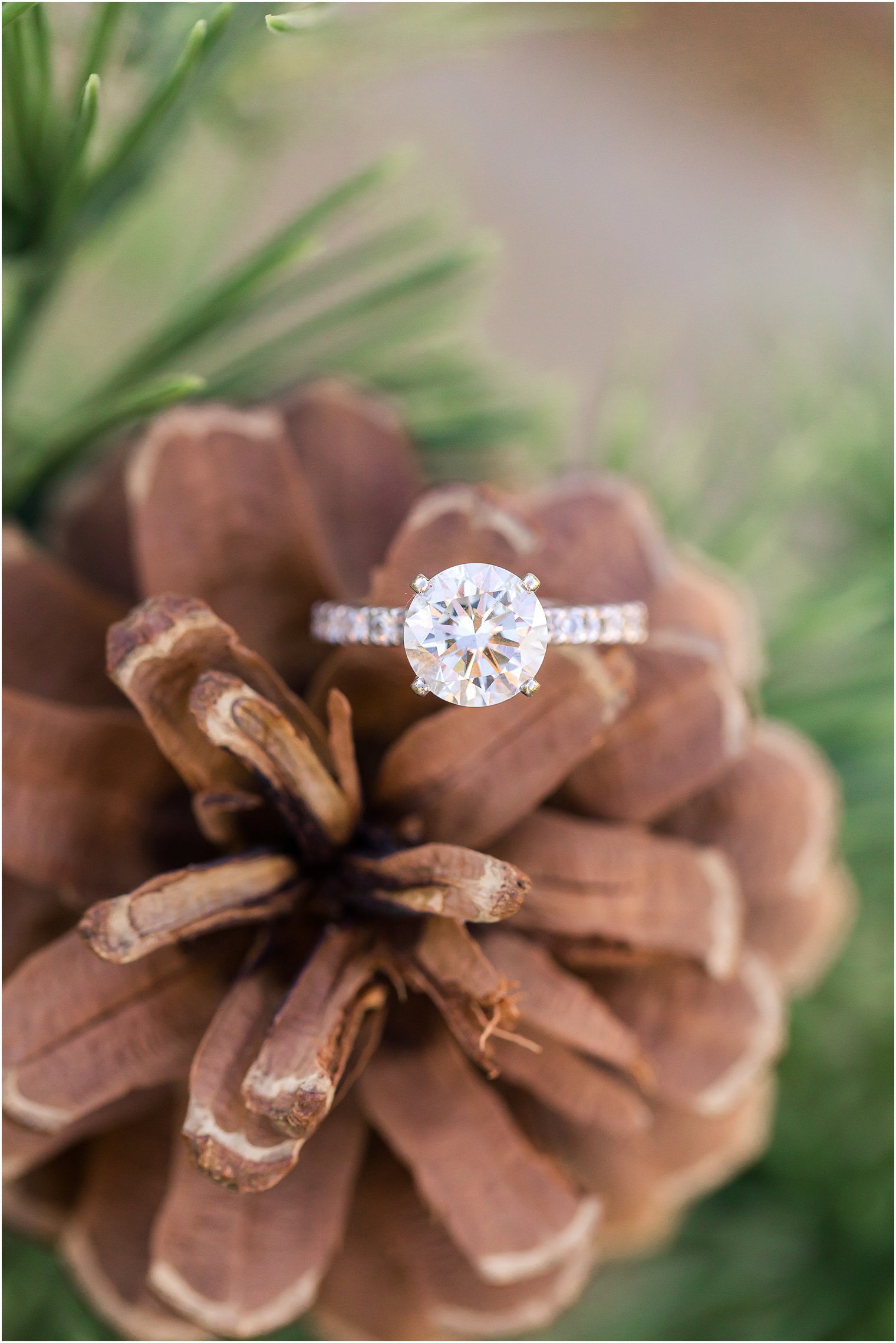 round diamond engagement ring on pinecone during NJ engagement photos
