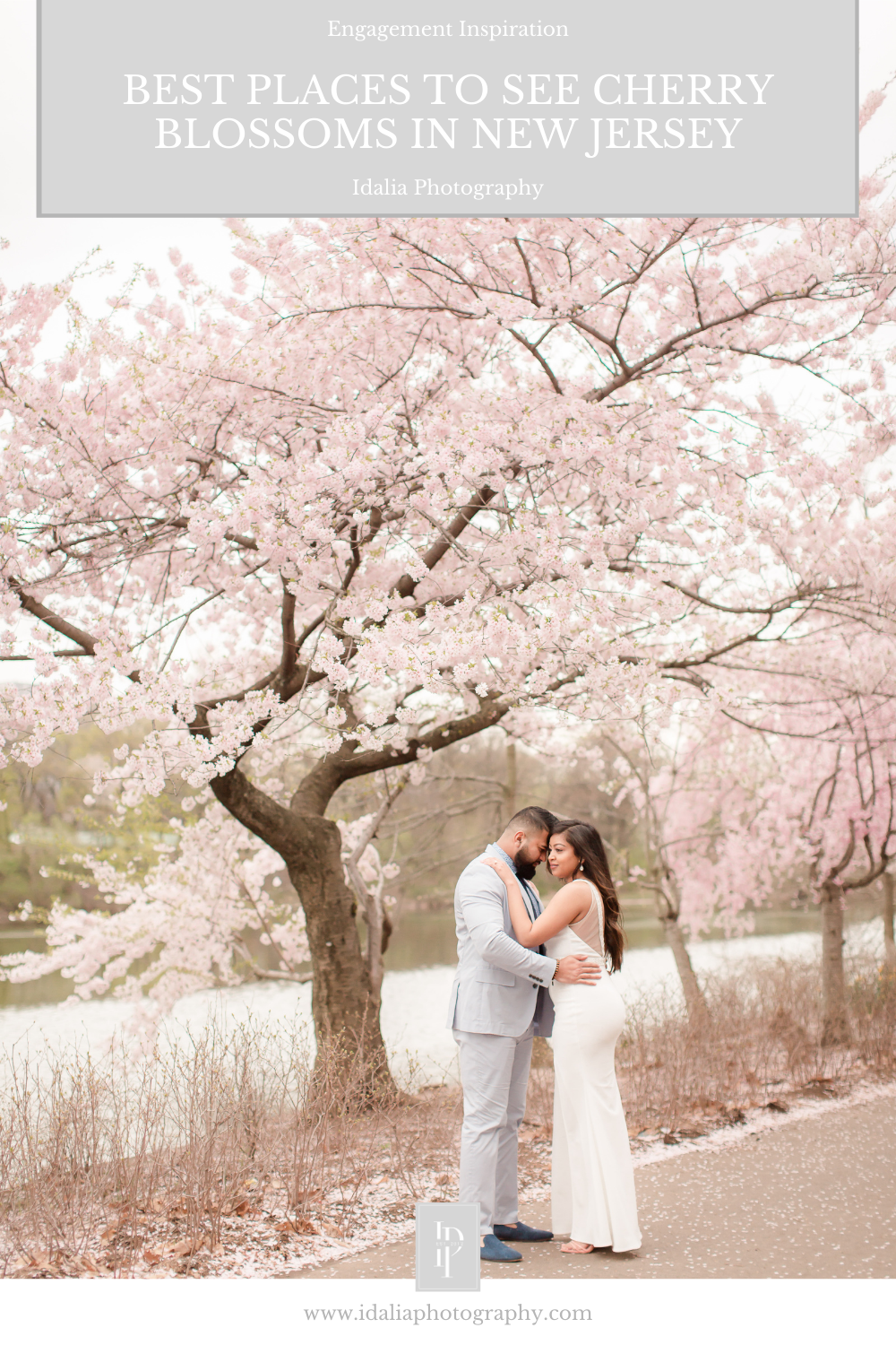 Cherry Blossom Jerseys